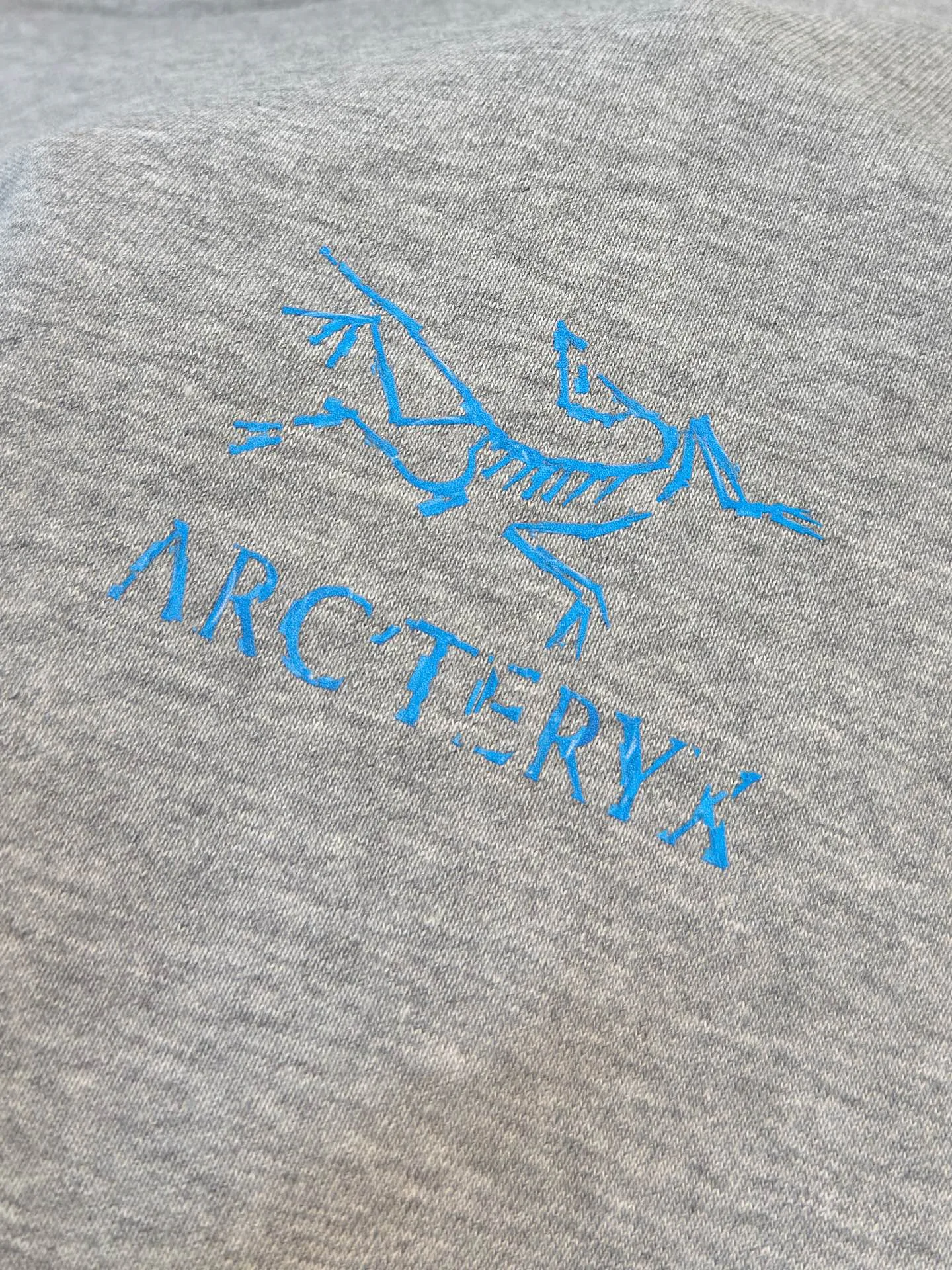 Свитшоты И Худи Мужские Arcteryx 18296250