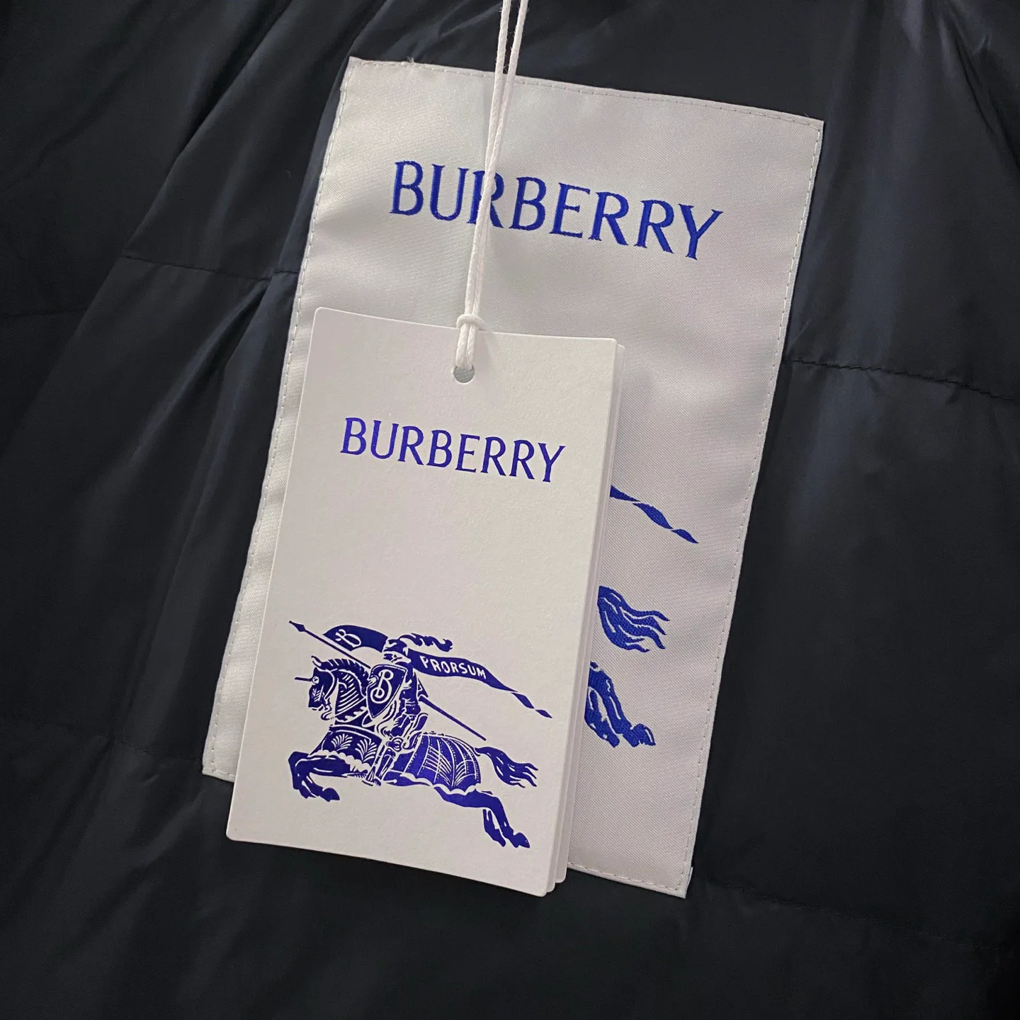 Куртки И Пуховики Мужские Burberry 999029