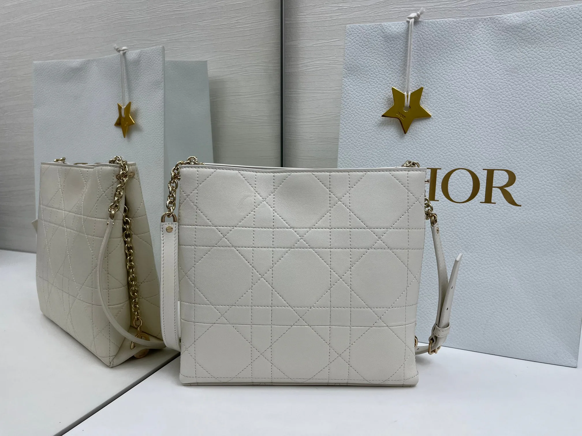 Классические Сумки Женские Christian Dior 13349530