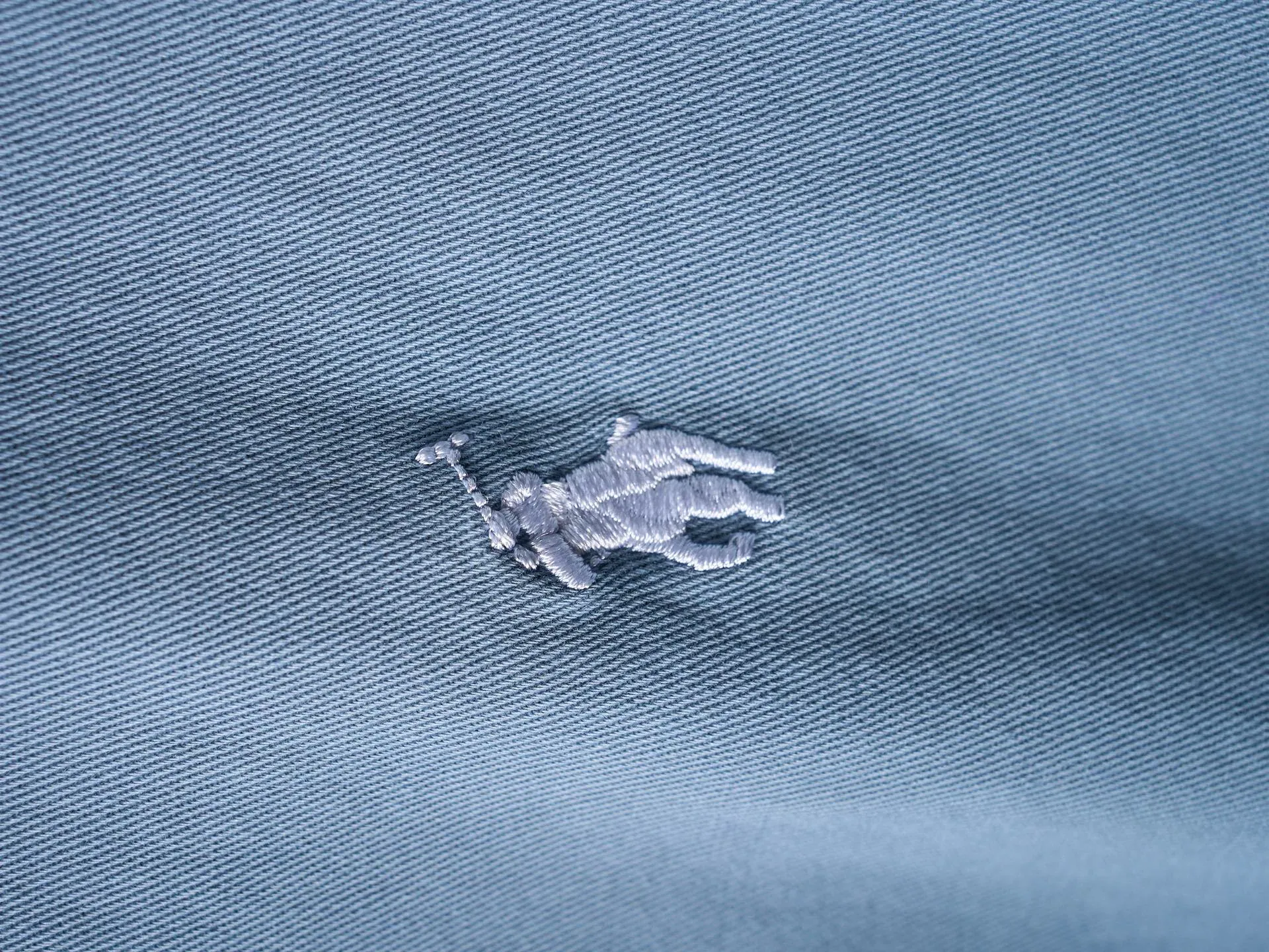 Куртки И Пуховики Мужские Ralph Lauren 475539