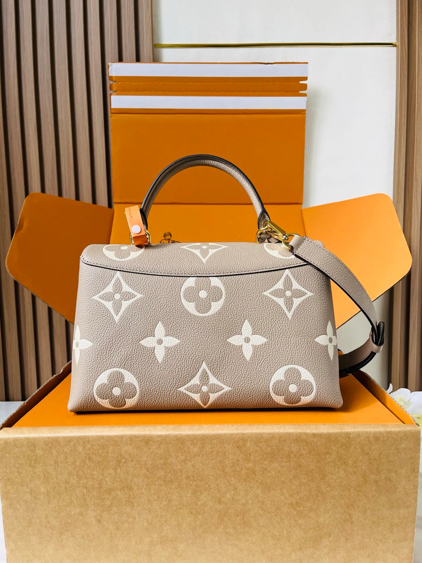 Классические Сумки Женские Louis Vuitton 12860029