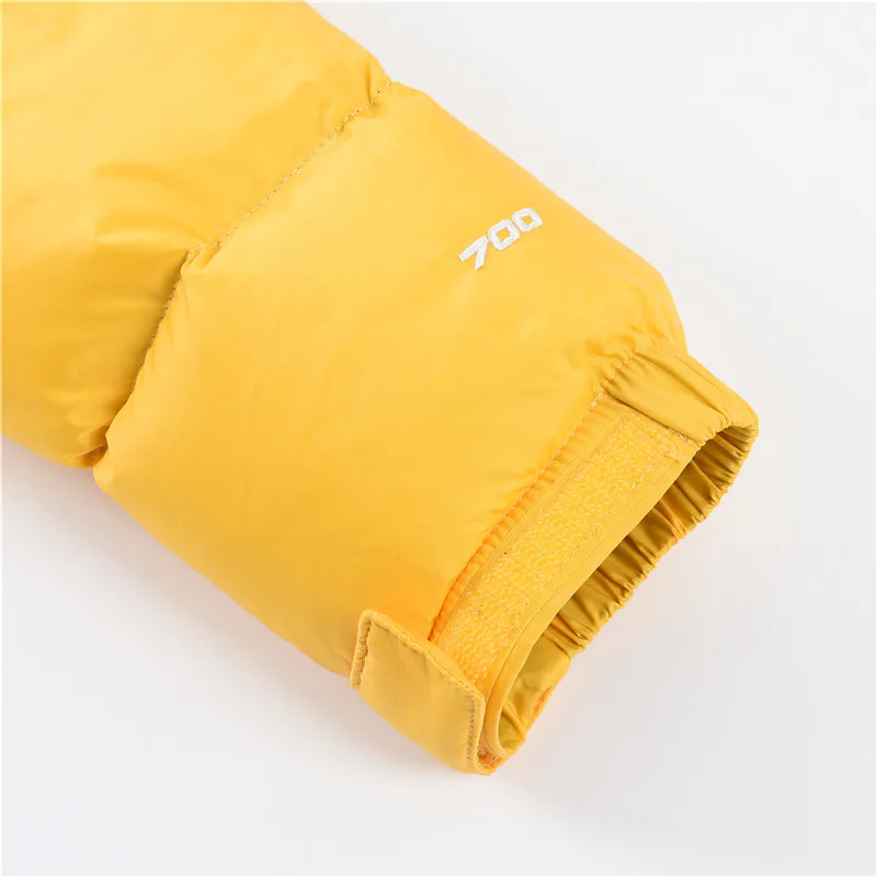 Куртки И Пуховики Женские The North Face 19296971