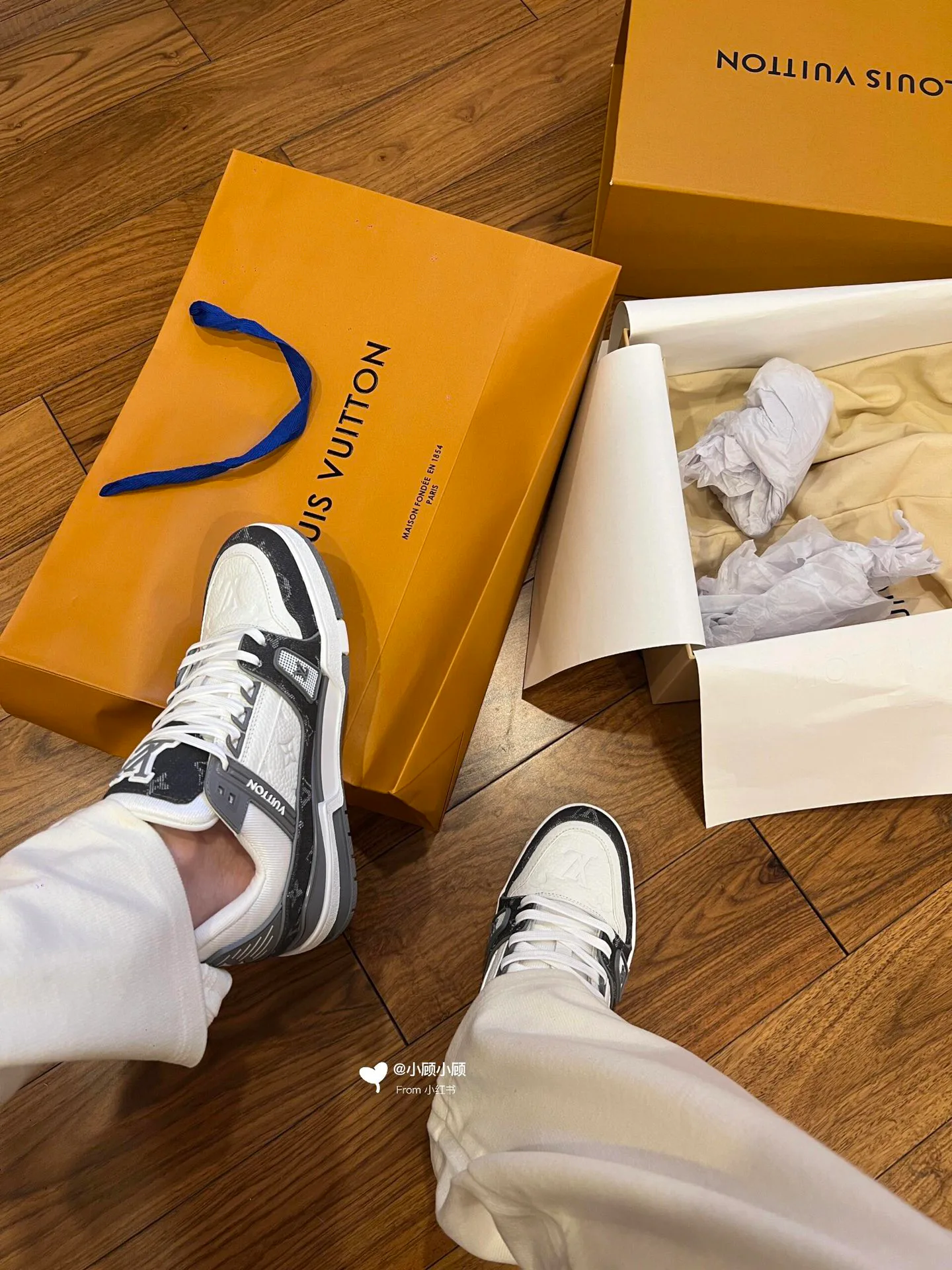 Кеды Мужские Louis Vuitton 6374