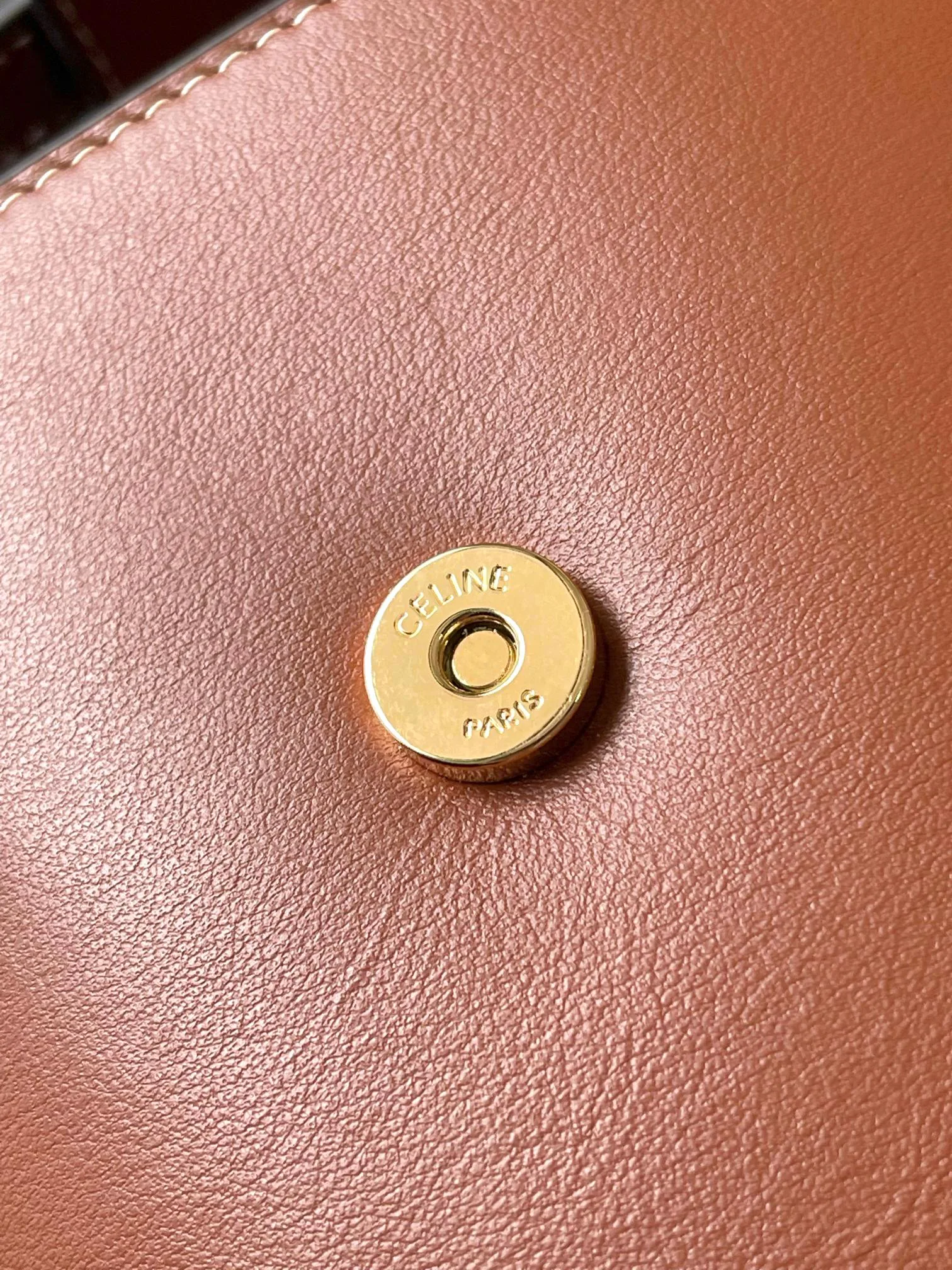 Сумки На Ремне Женские Celine 423822