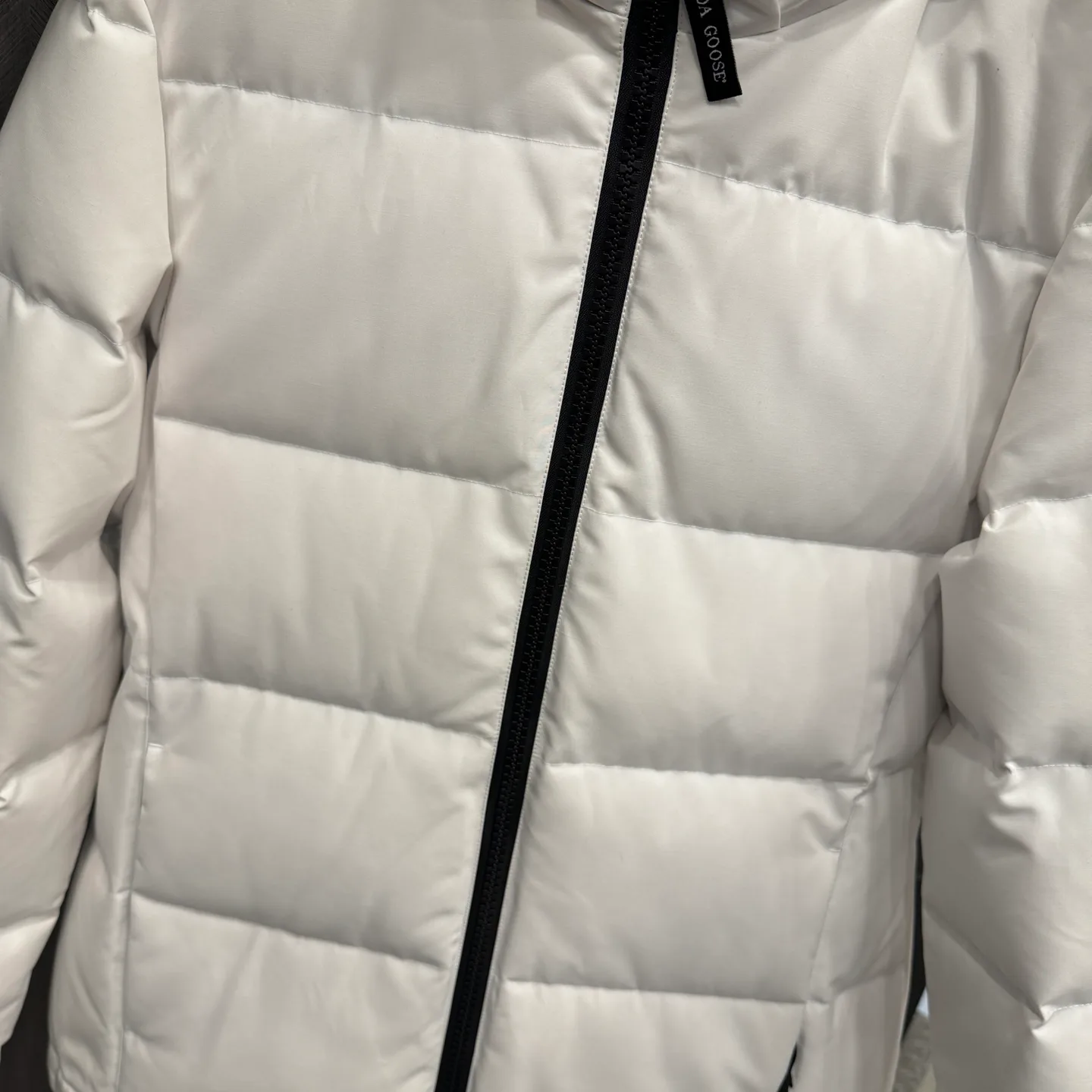 Куртки И Пуховики Женские Canada Goose 19763446