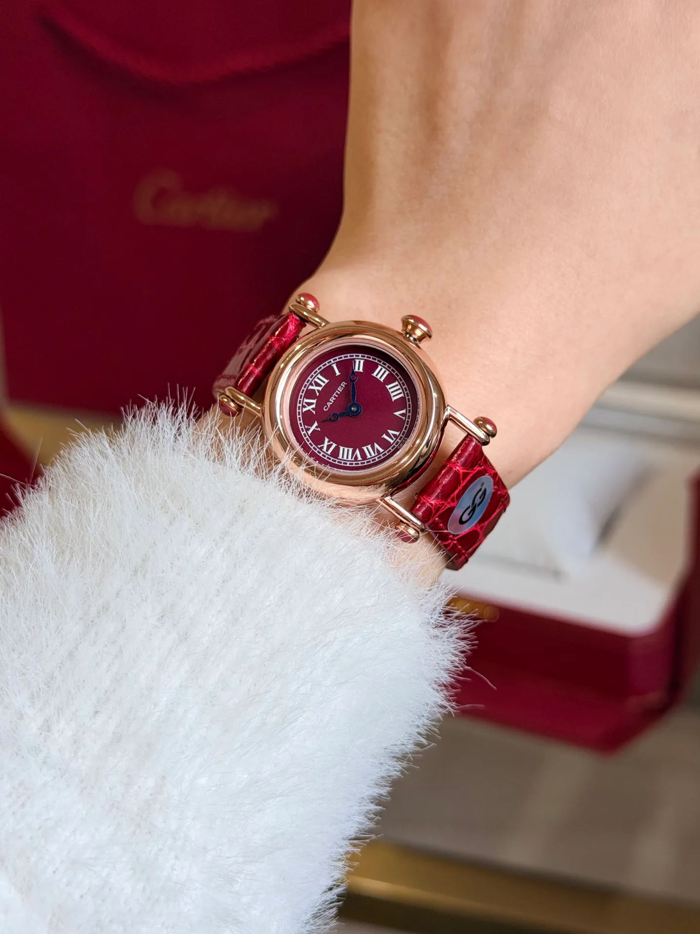 Часы Женские Cartier 18603711