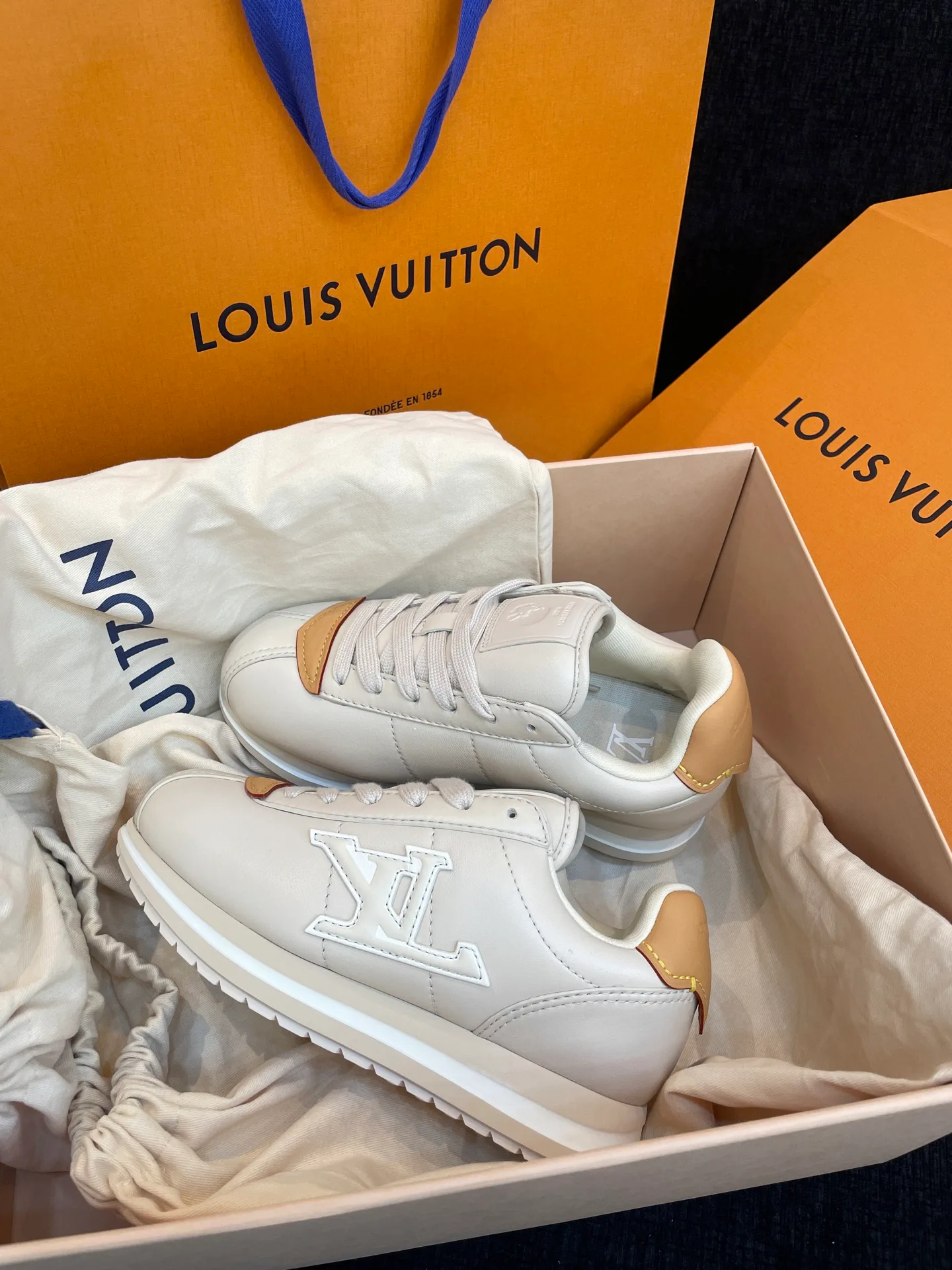 Кроссовки Женские Louis Vuitton 10010225