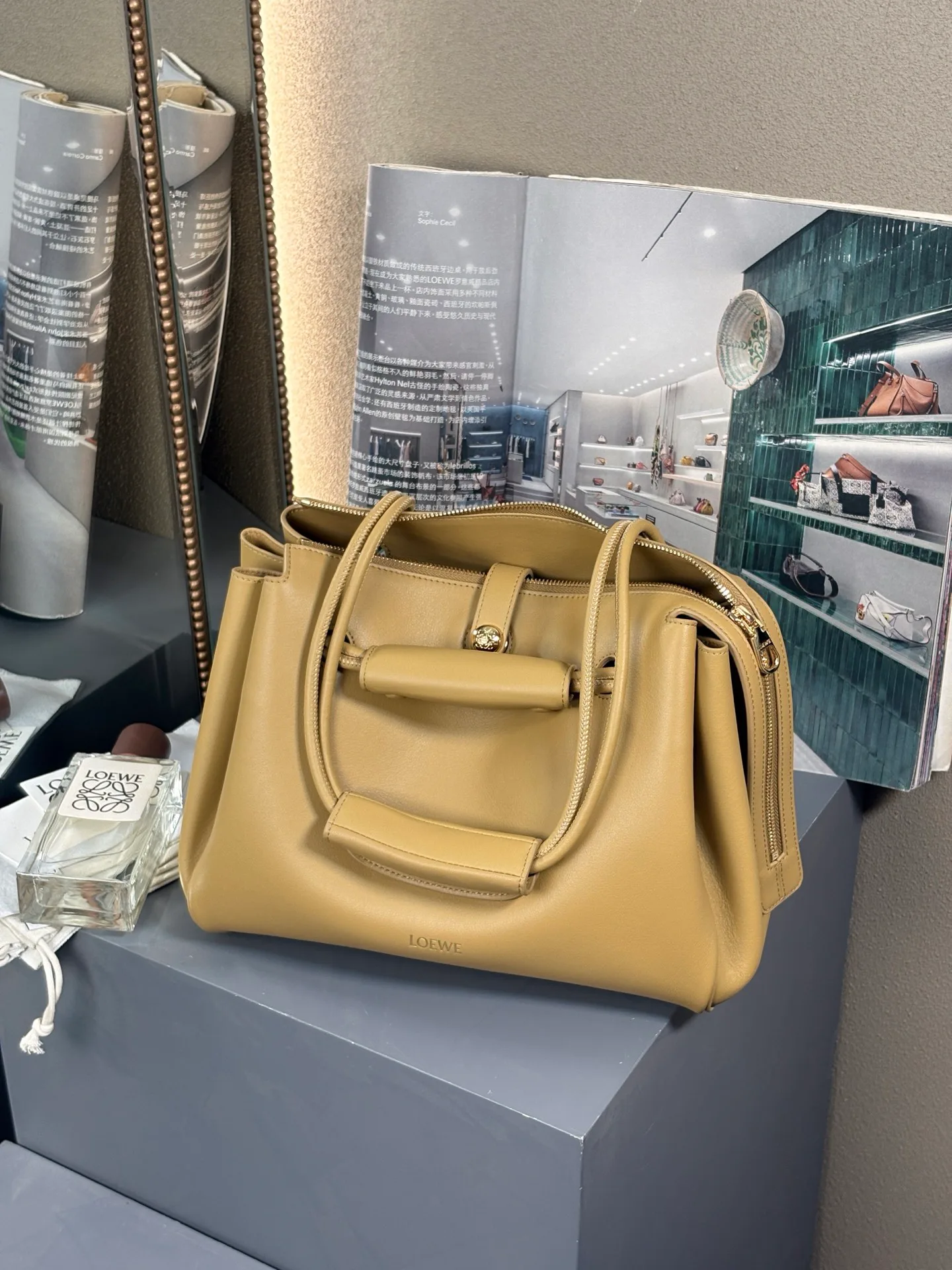 Классические Сумки Женские Loewe 11566853