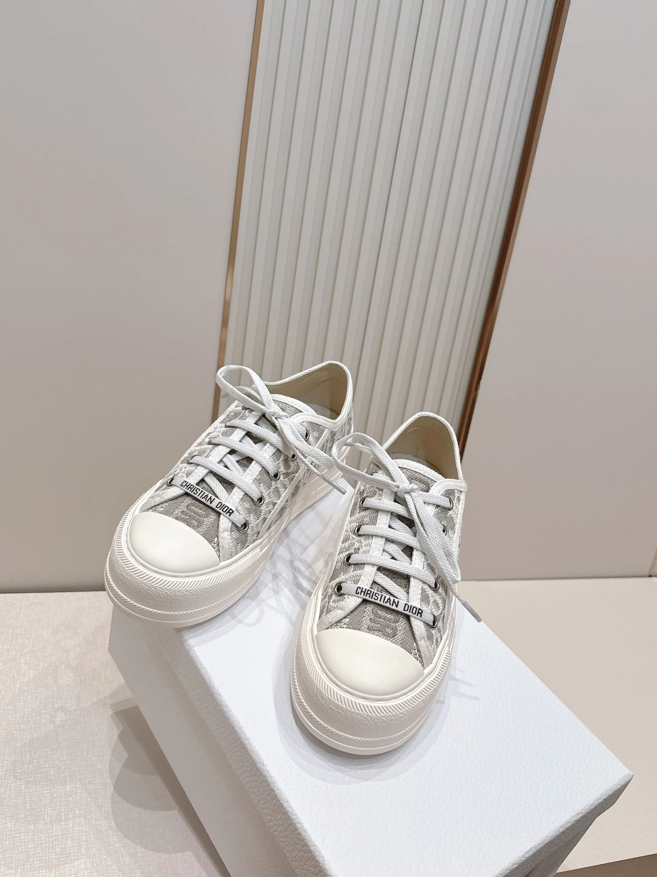 Кроссовки Женские Christian Dior 17411430