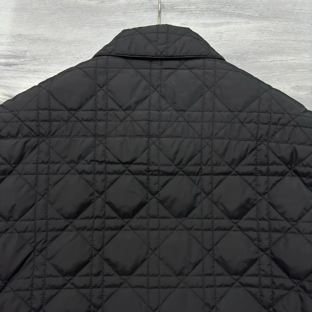 Куртки И Пуховики Мужские Christian Dior 83193