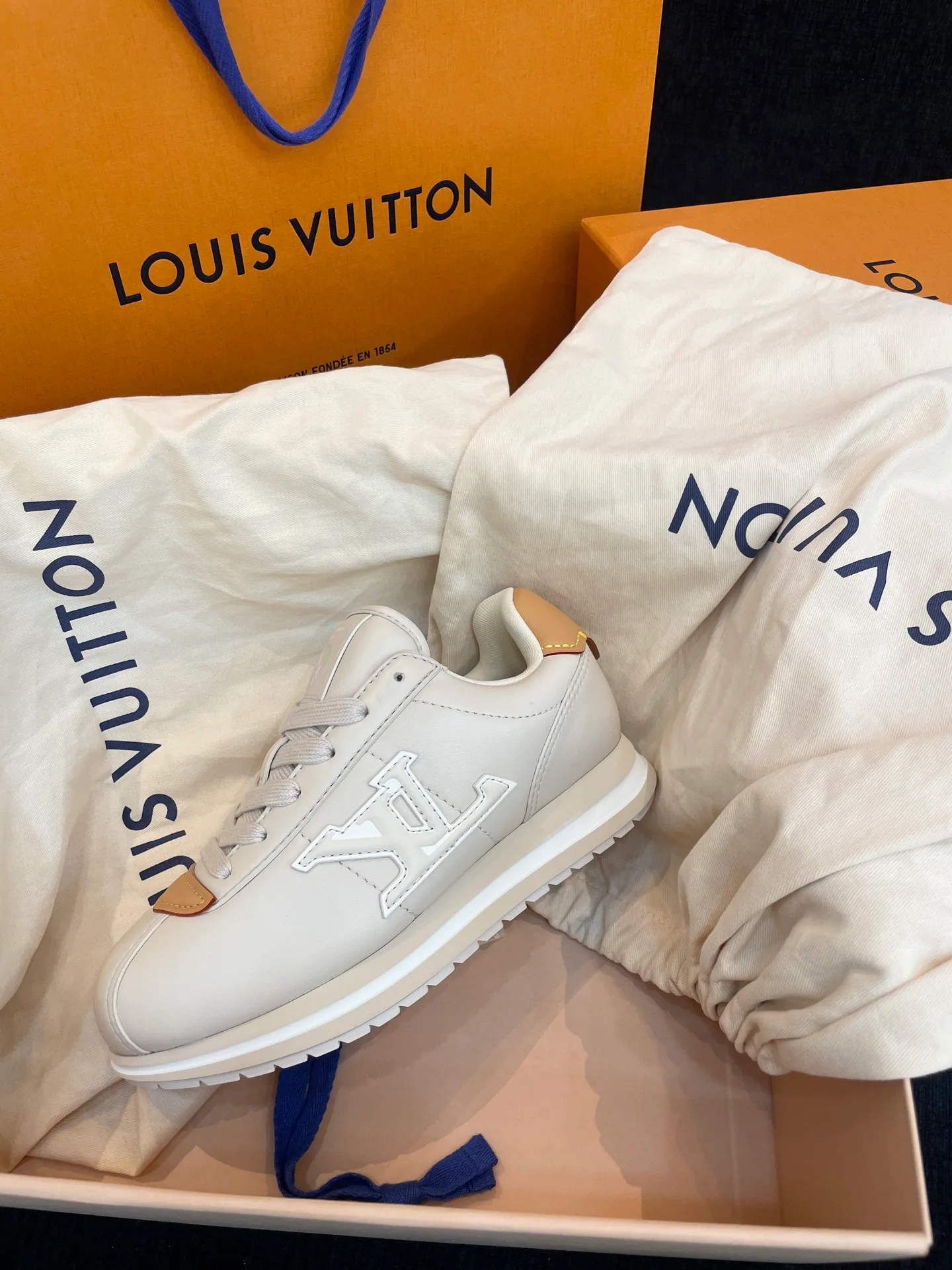 Кроссовки Женские Louis Vuitton 10010225
