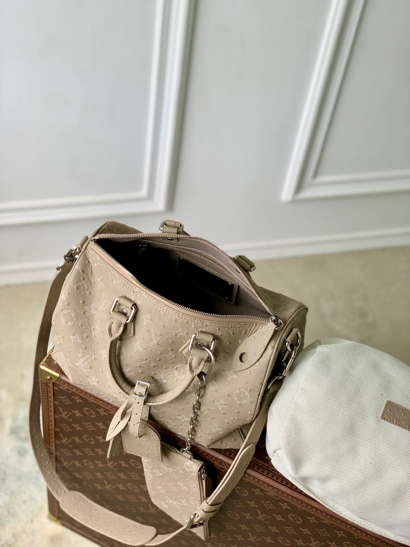 Классические Сумки Женские Louis Vuitton 18147441