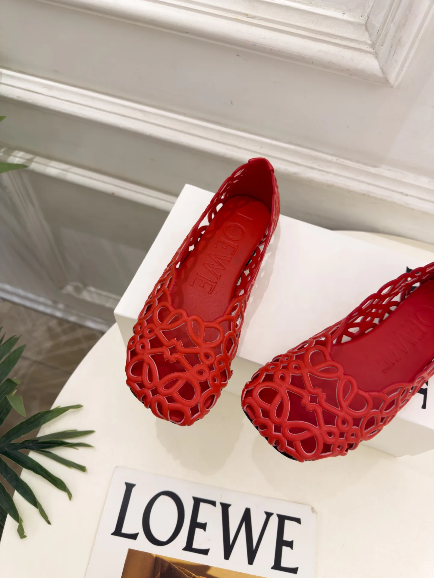 Балетки Женские Loewe 18731481