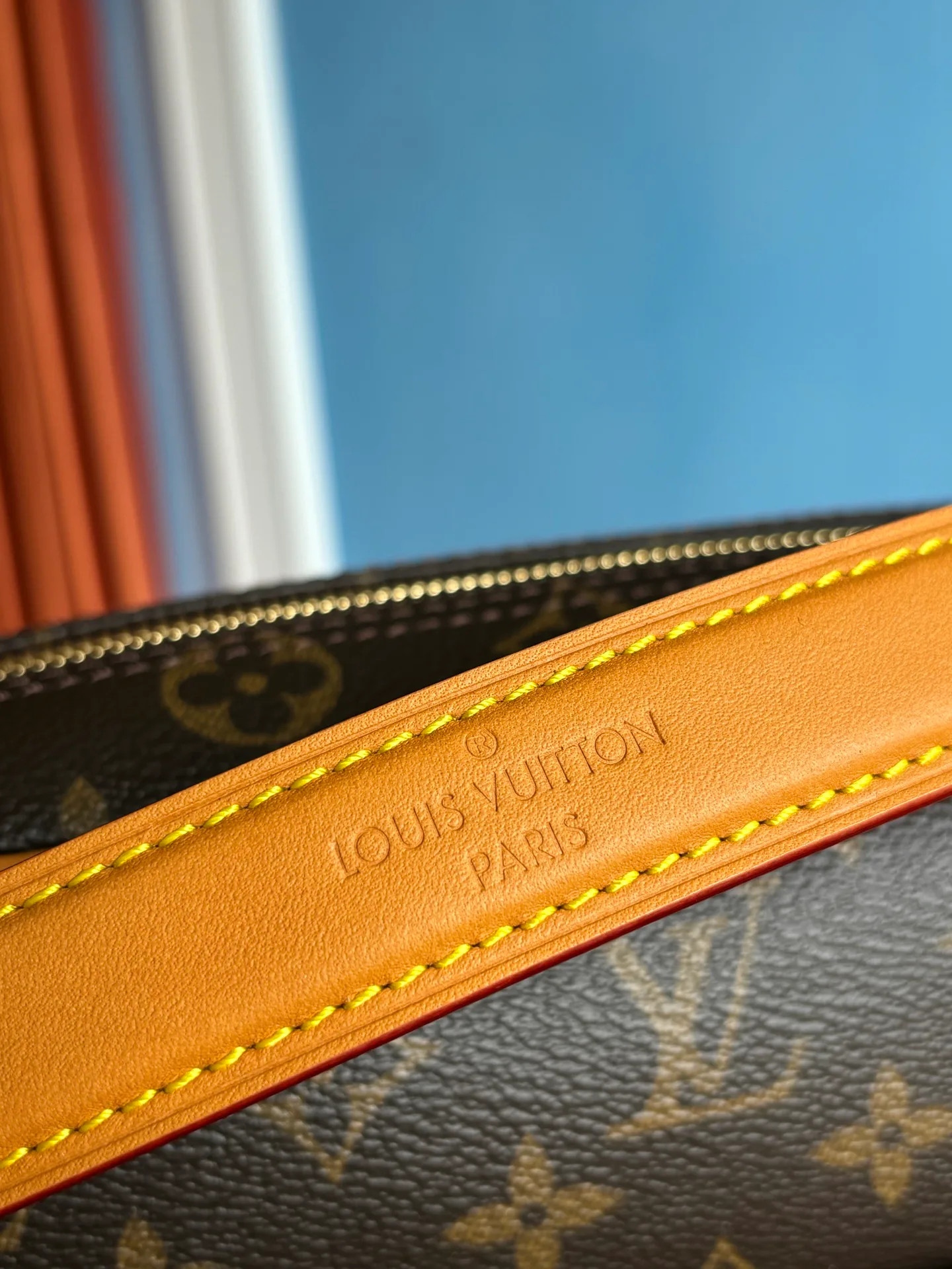 Классические Сумки Женские Louis Vuitton 13362802