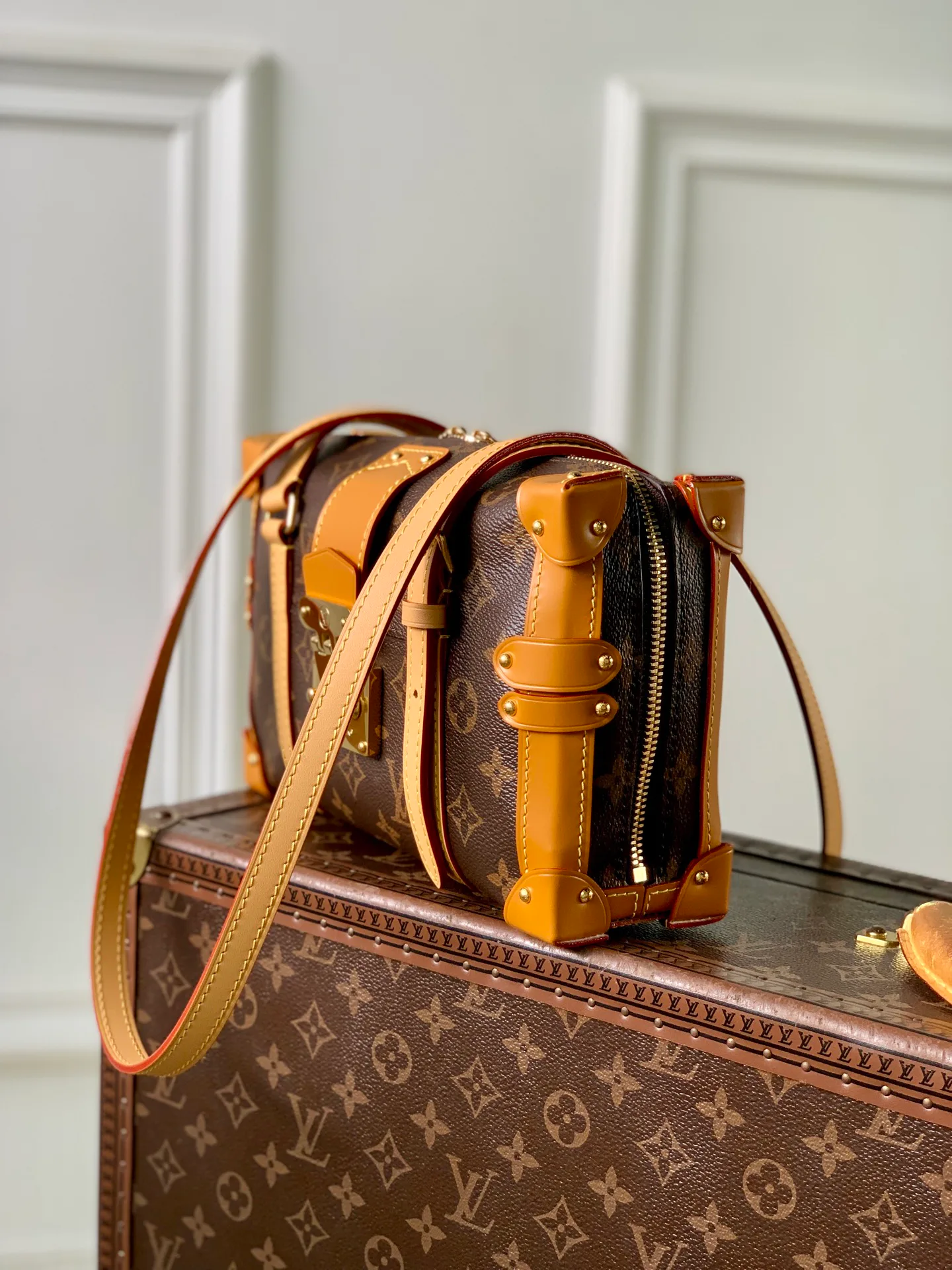 Классические Сумки Женские Louis Vuitton 18147462