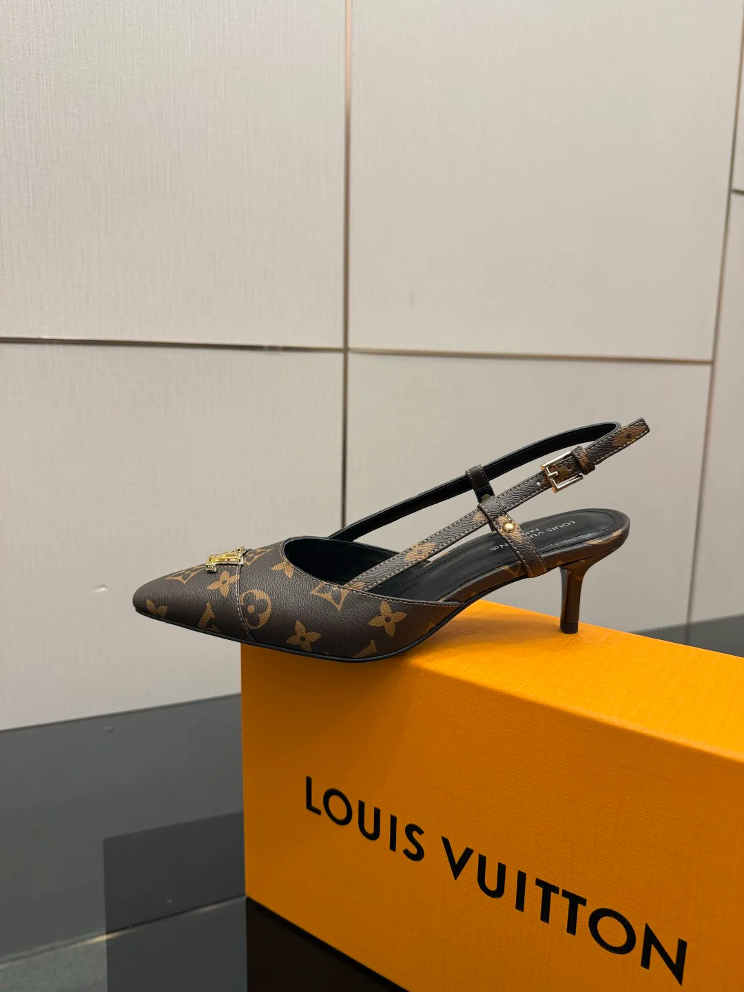 Туфли Женские Louis Vuitton 5052009