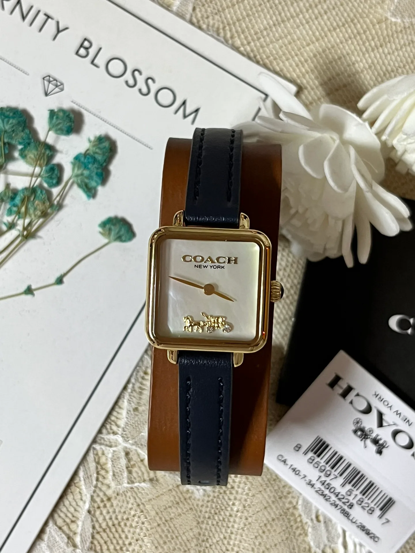 Часы Женские Coach 1288116