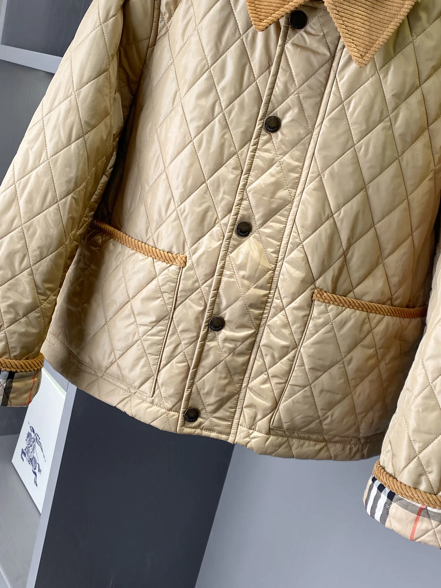 Куртки И Пуховики Женские Burberry 18512999