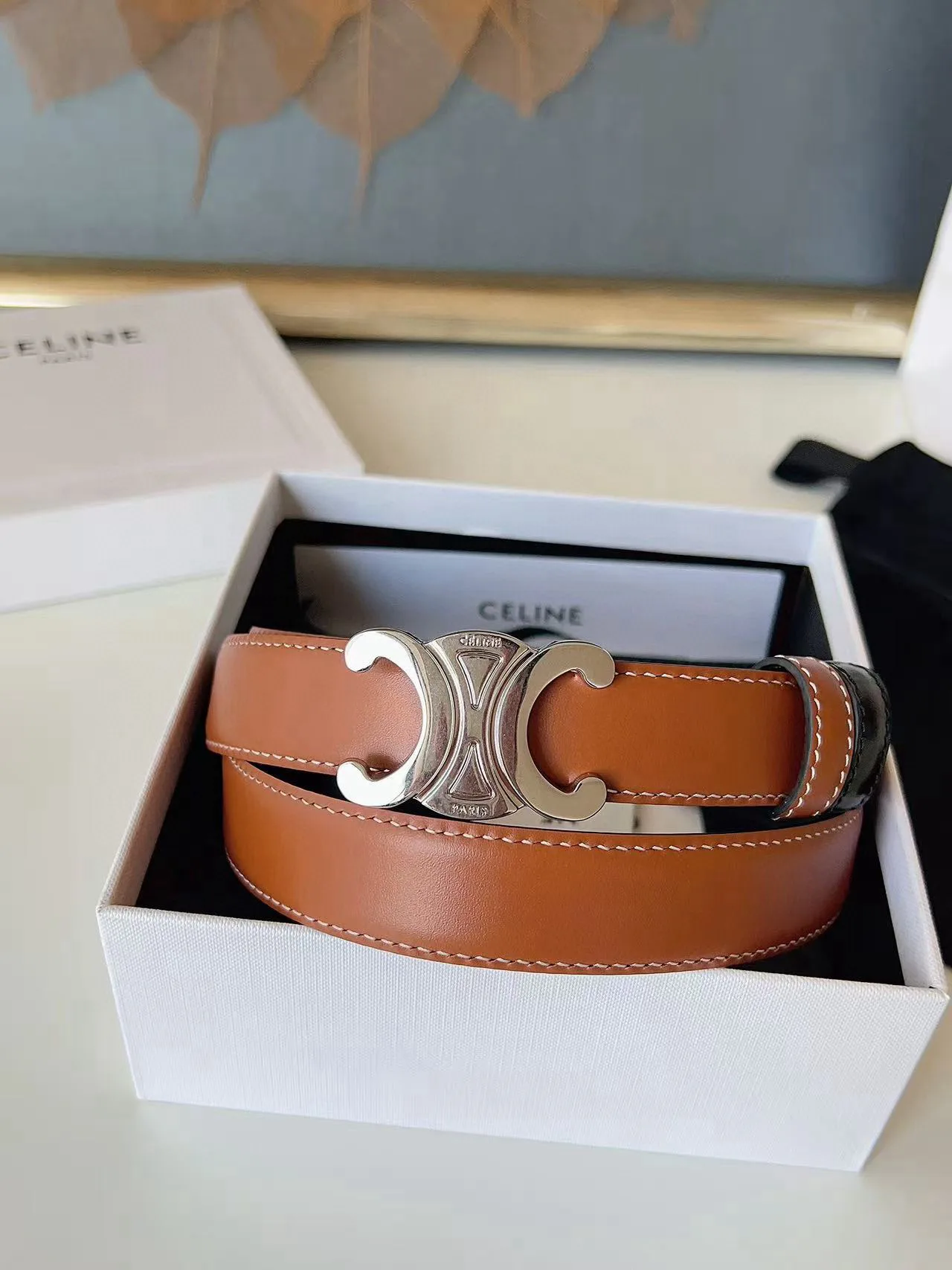 Поясные Сумки Женские Celine 11886357