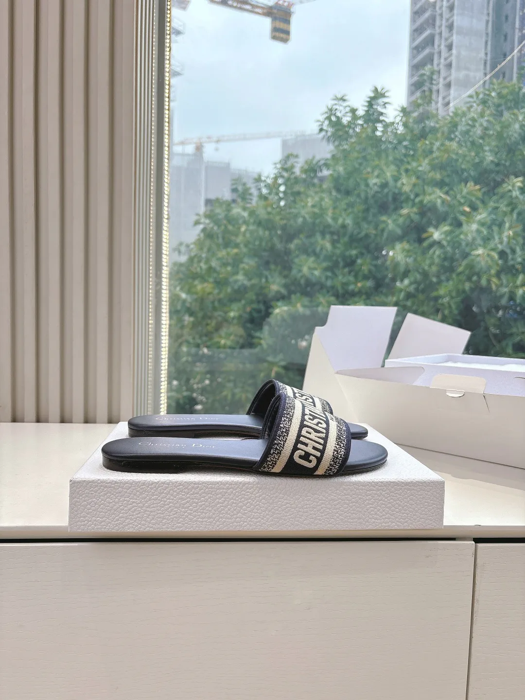 Шлепанцы Женские Christian Dior 1156190