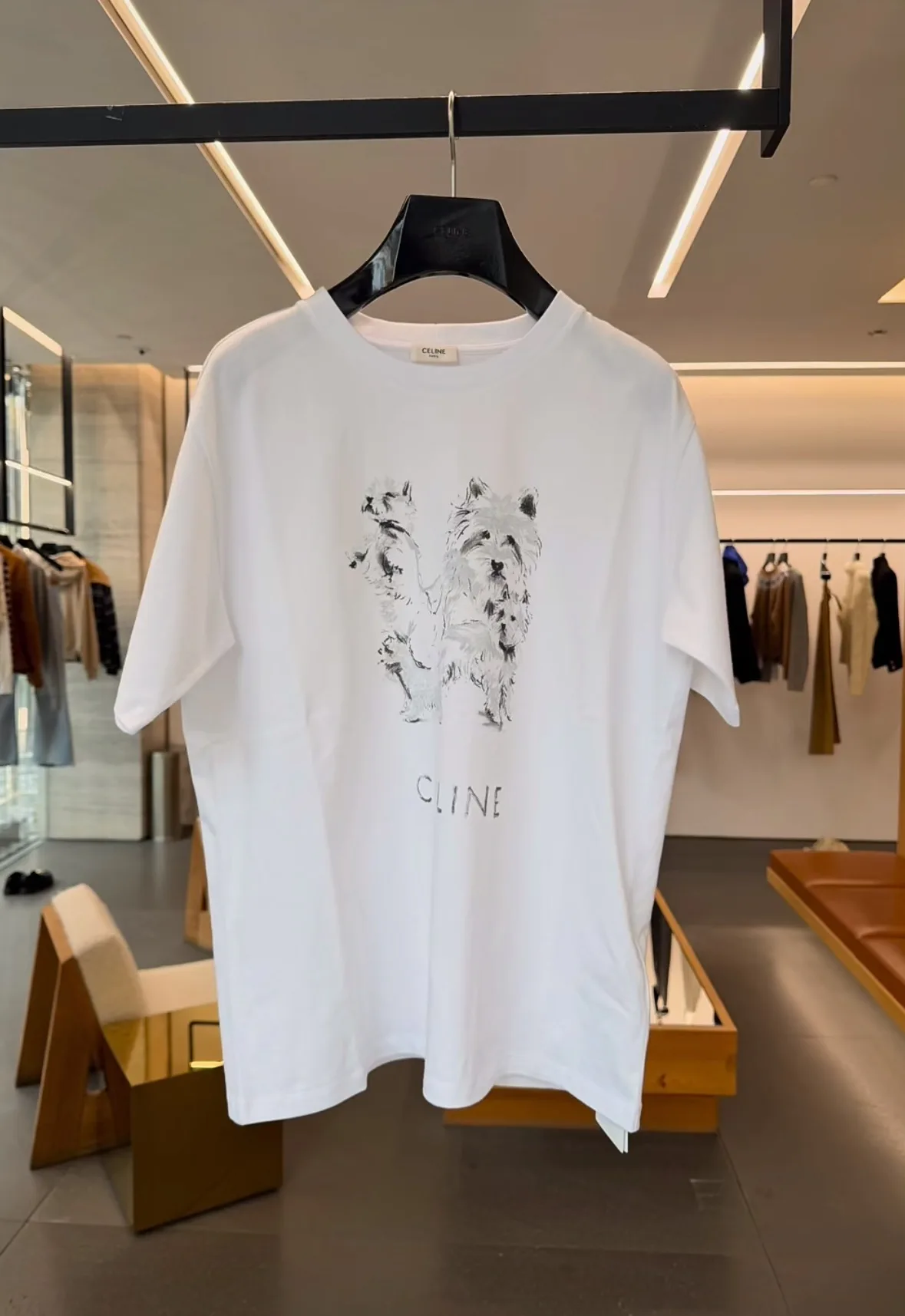 Футболки Женские Celine 11422884