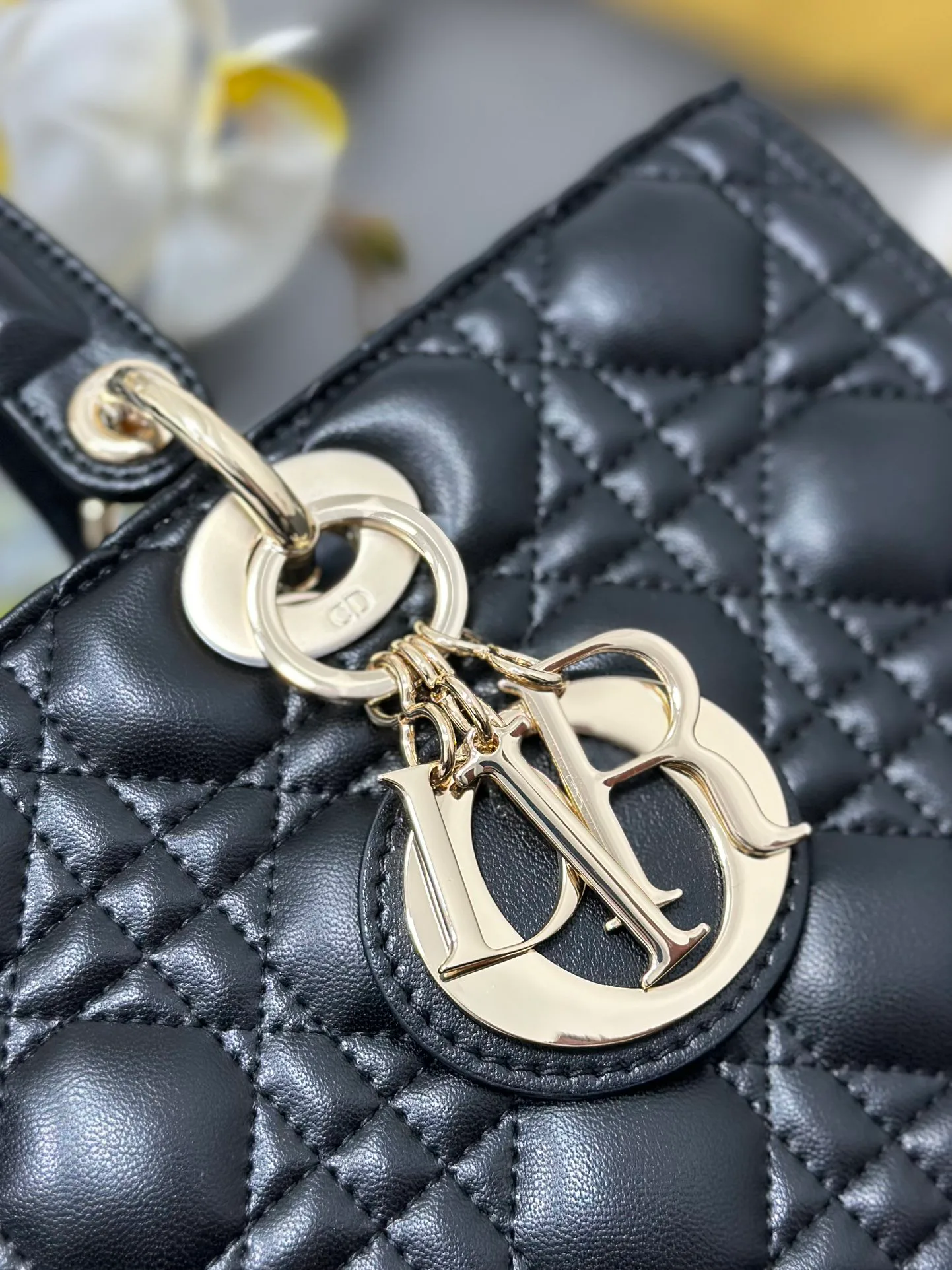 Классические Сумки Женские Christian Dior 25191