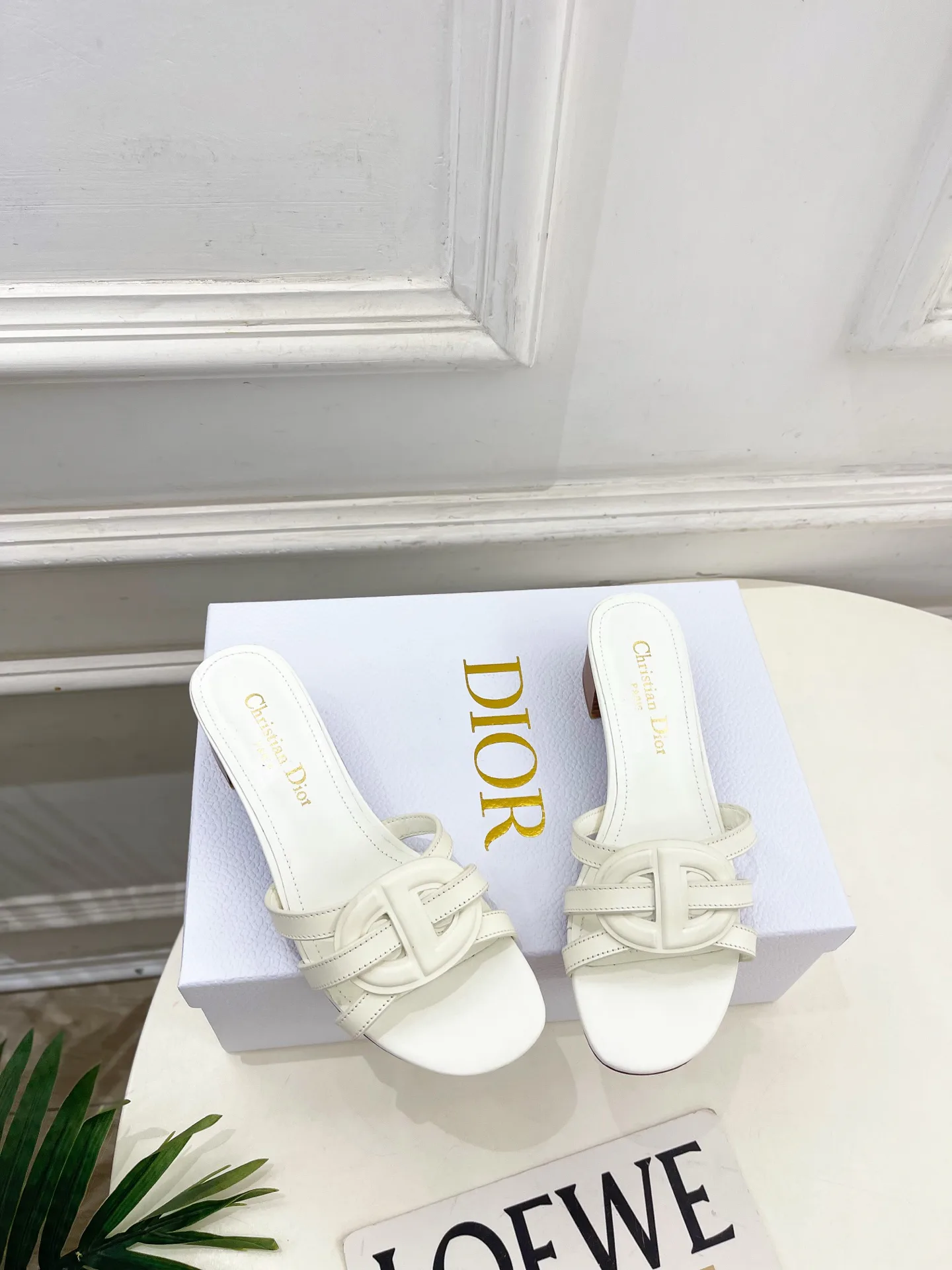 Туфли Женские Christian Dior 12601465