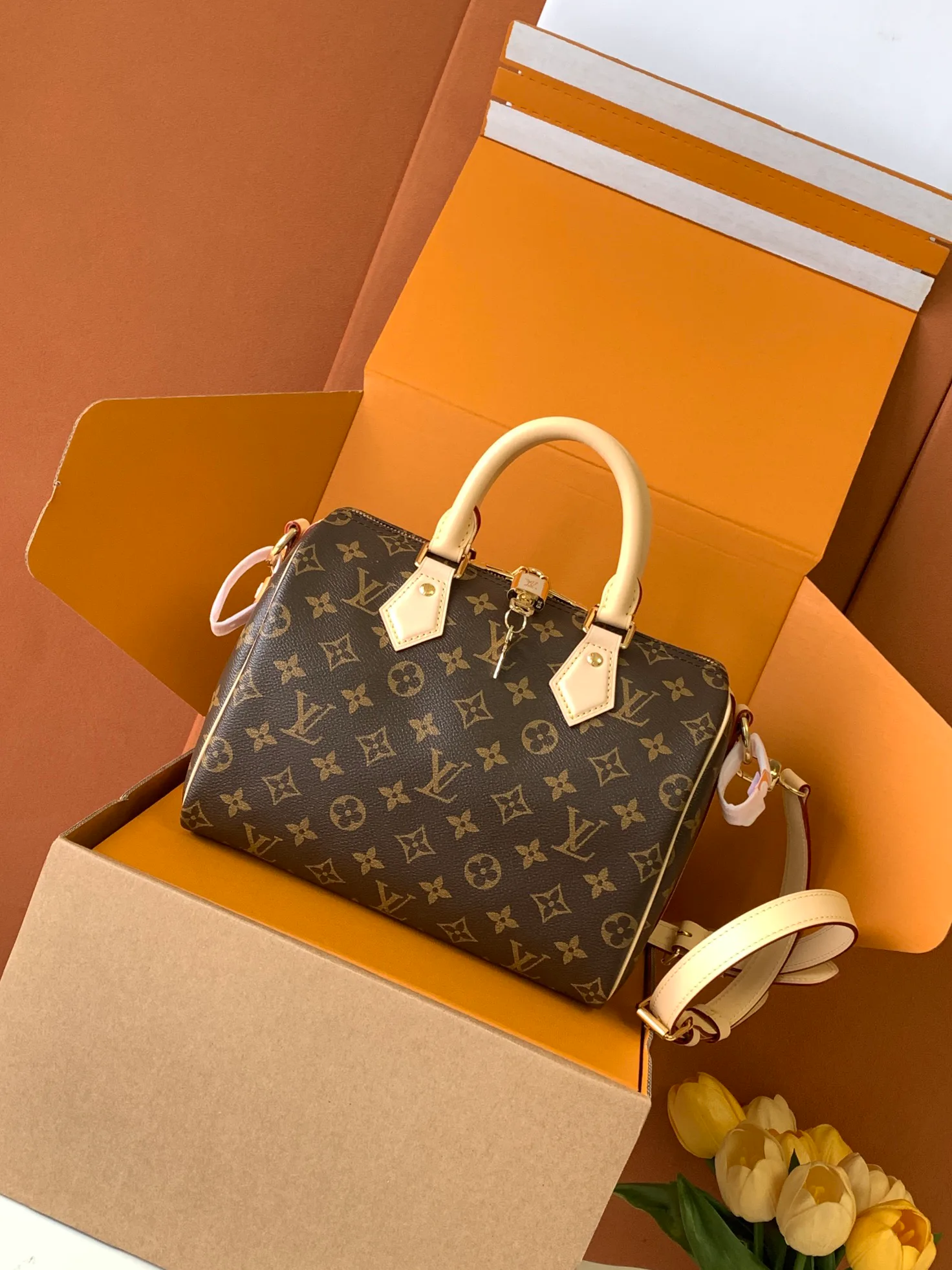 Классические Сумки Женские Louis Vuitton 18156568