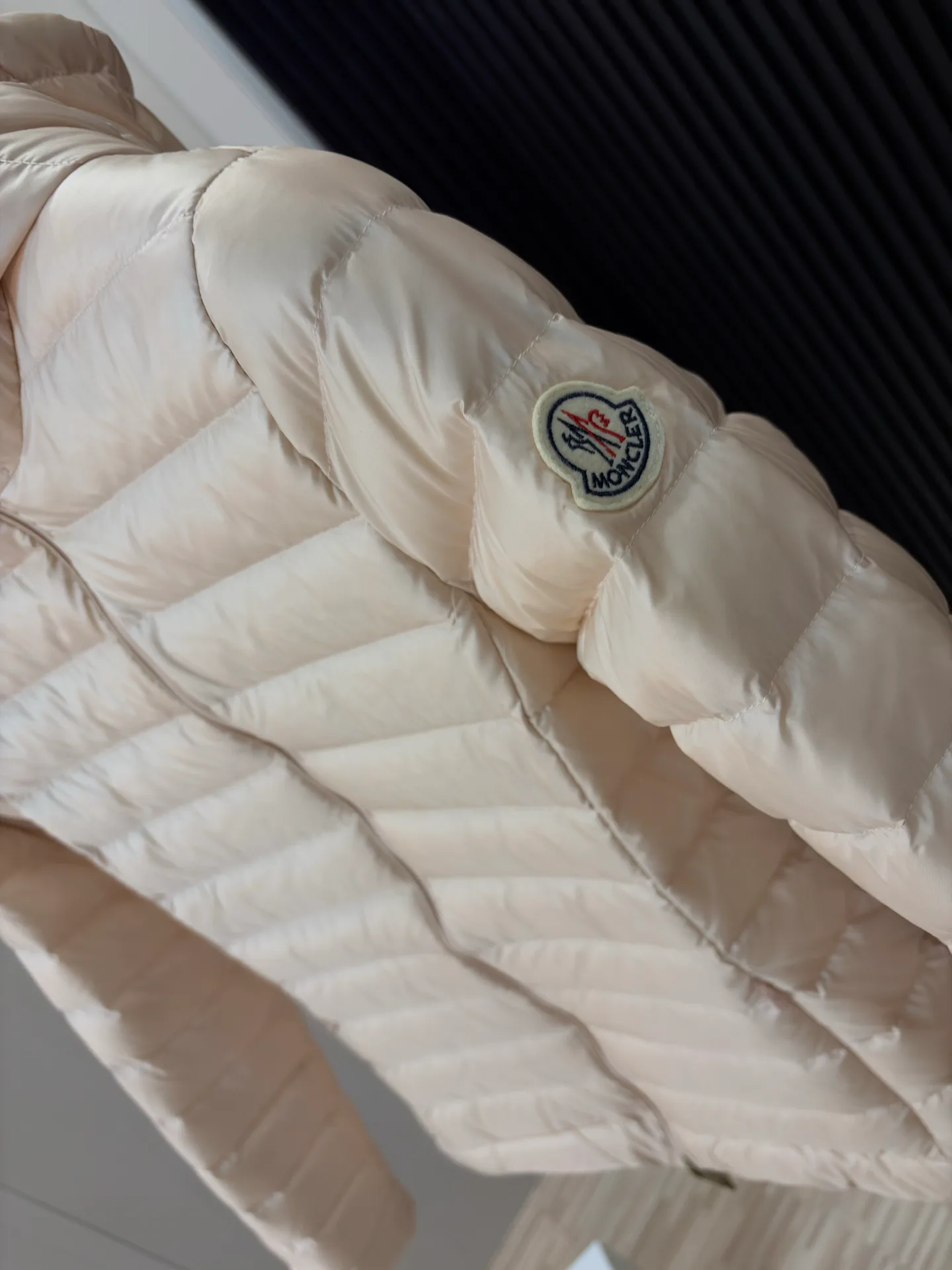 Куртки И Пуховики Женские Moncler 18285039