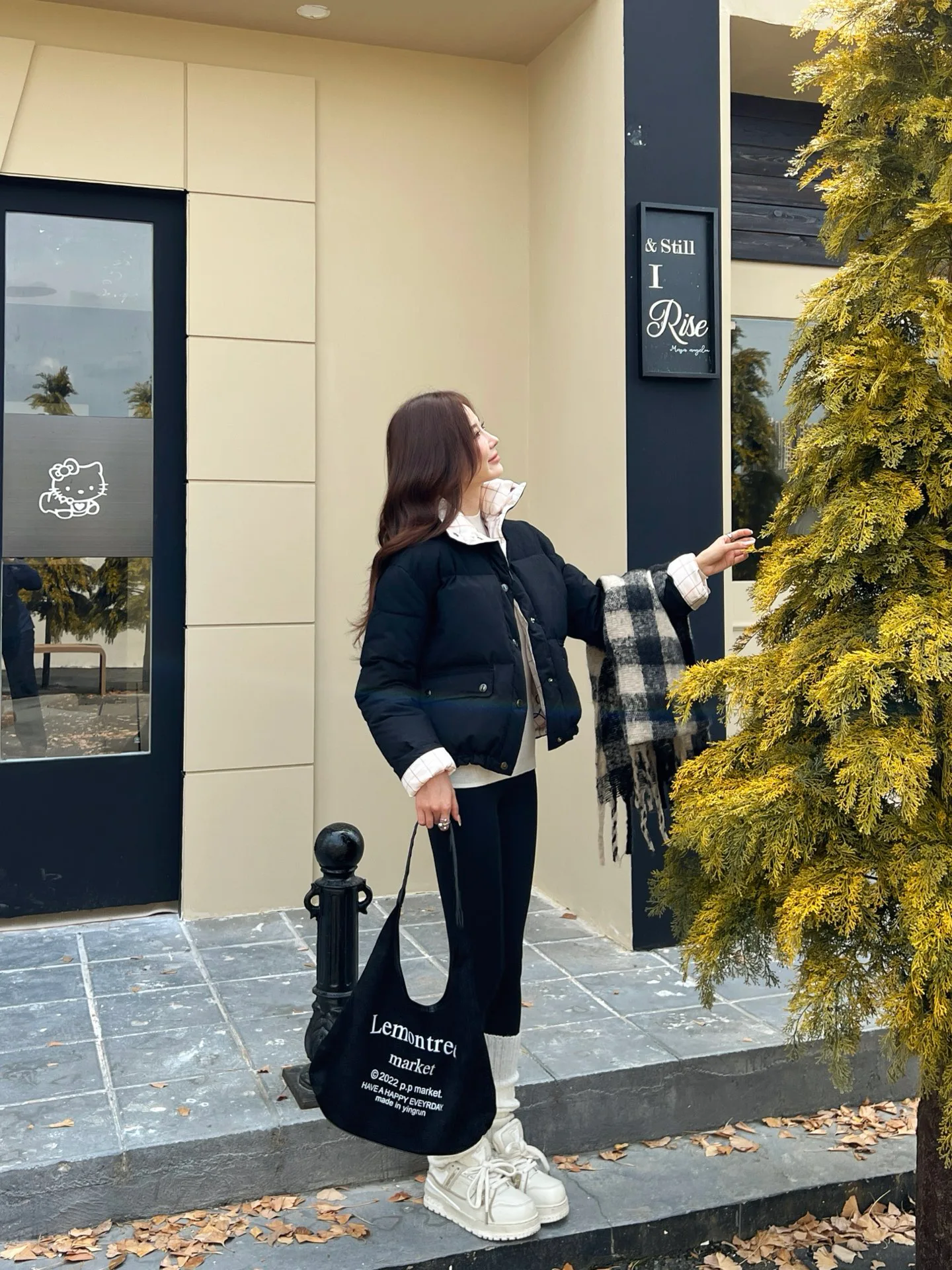 Куртки И Пуховики Женские Loro Piana 1434064