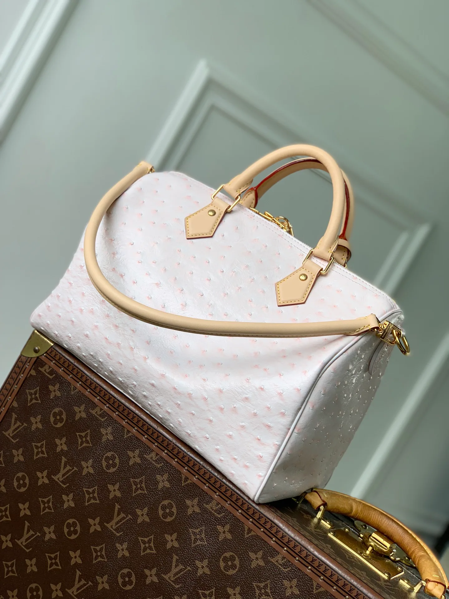 Классические Сумки Женские Louis Vuitton 18147541