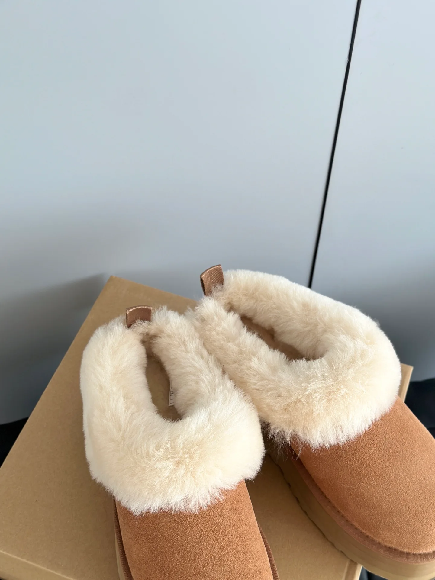 Угги Женские Ugg 18676448