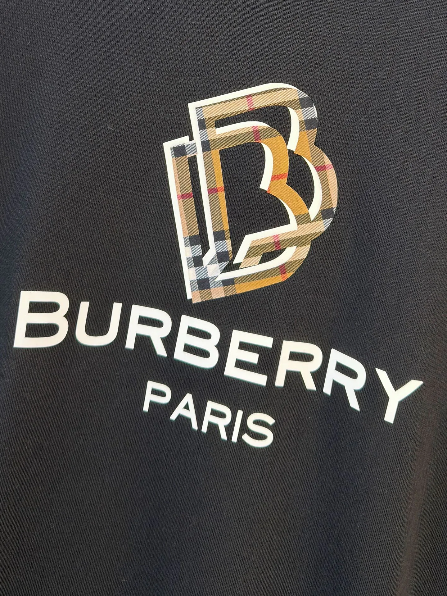 Свитшоты И Худи Мужские Burberry 18296245