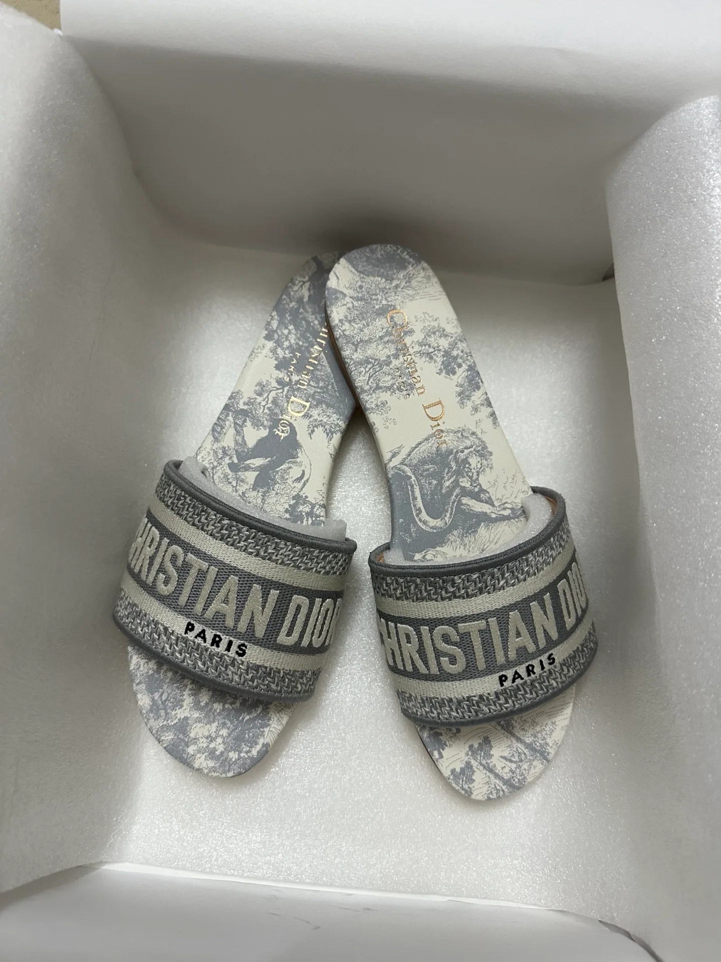 Шлепанцы Женские Christian Dior 633304