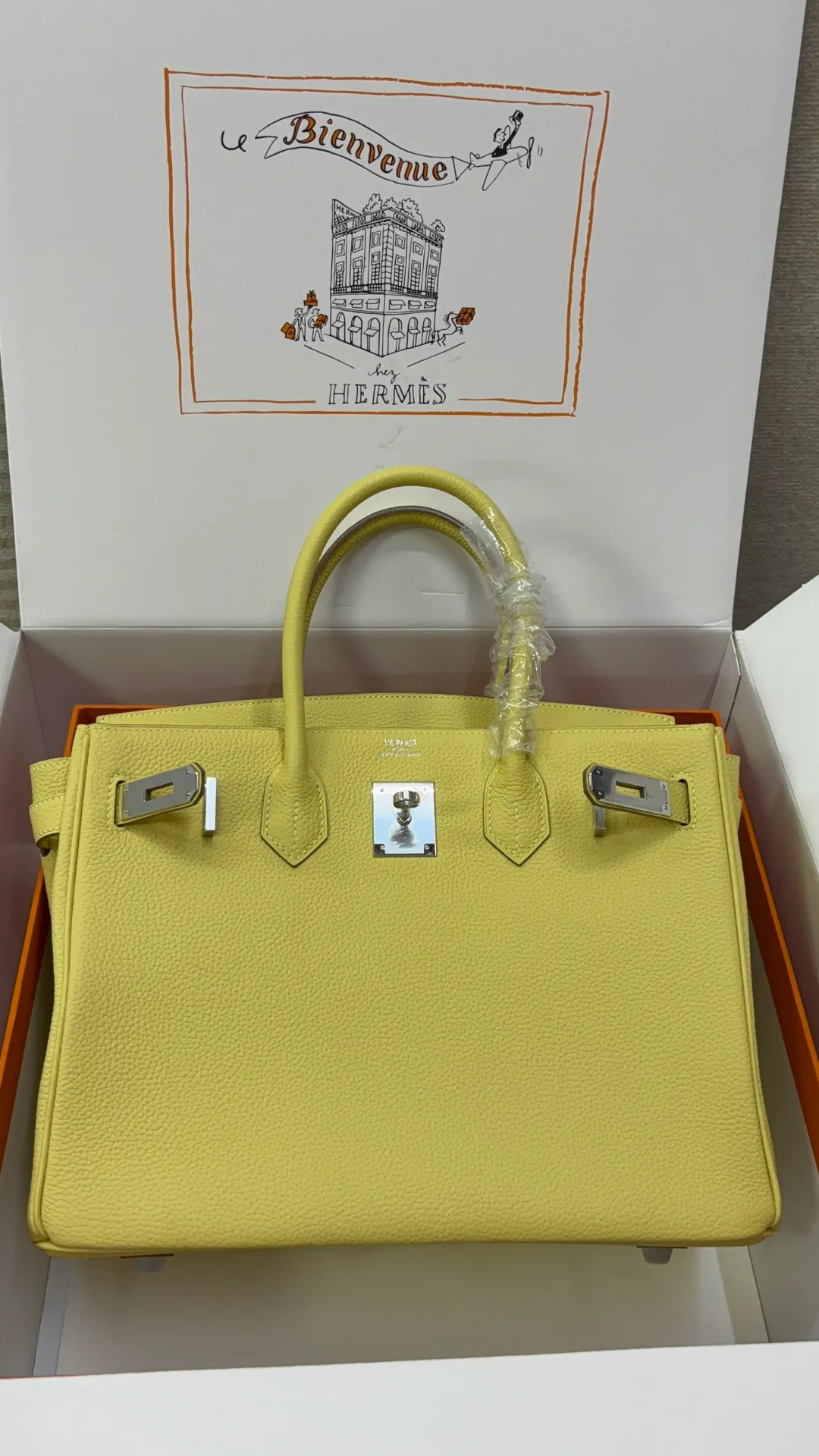 Классические Сумки Женские Hermes 18127424