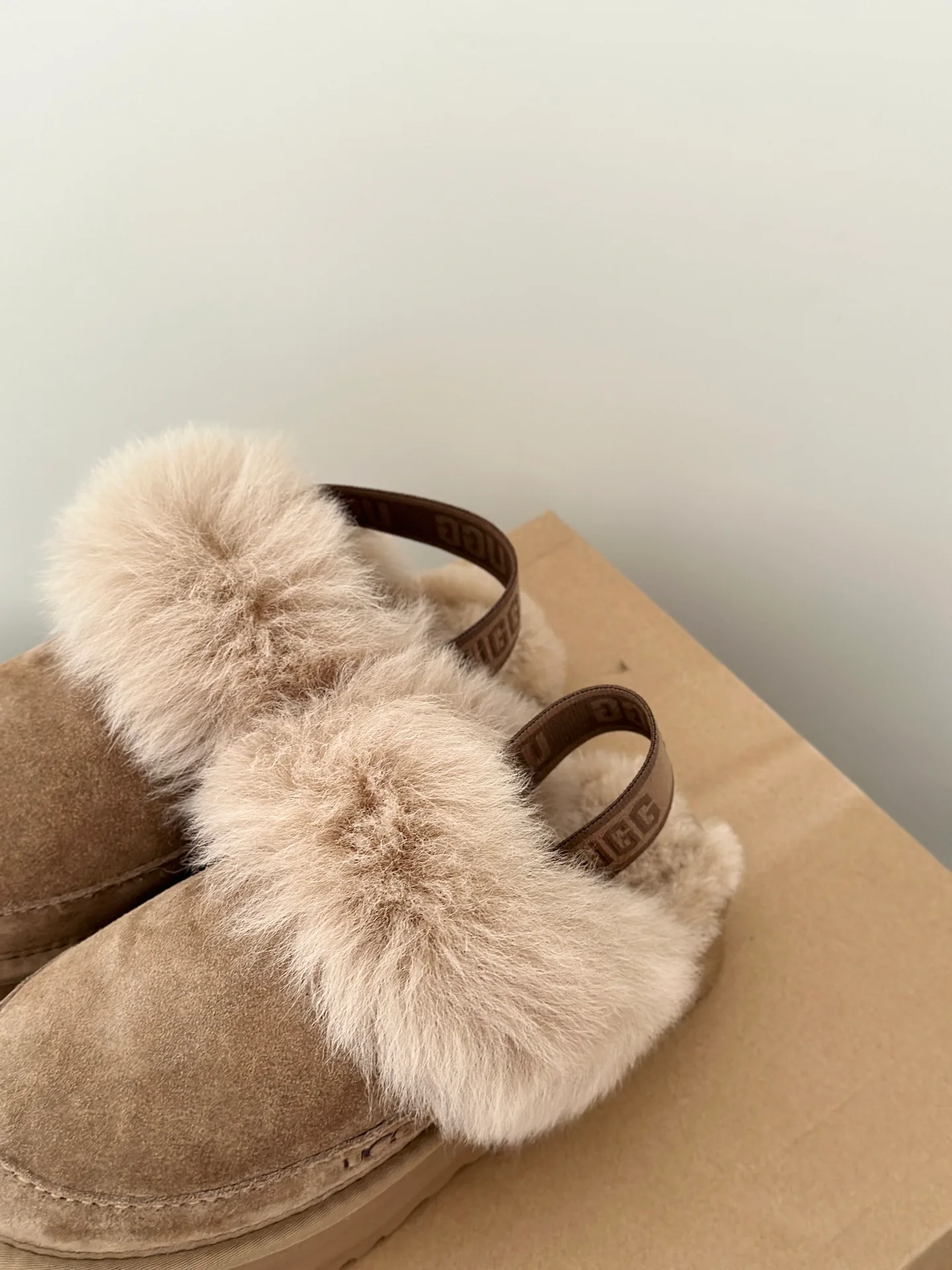 Угги Женские Ugg 18005318
