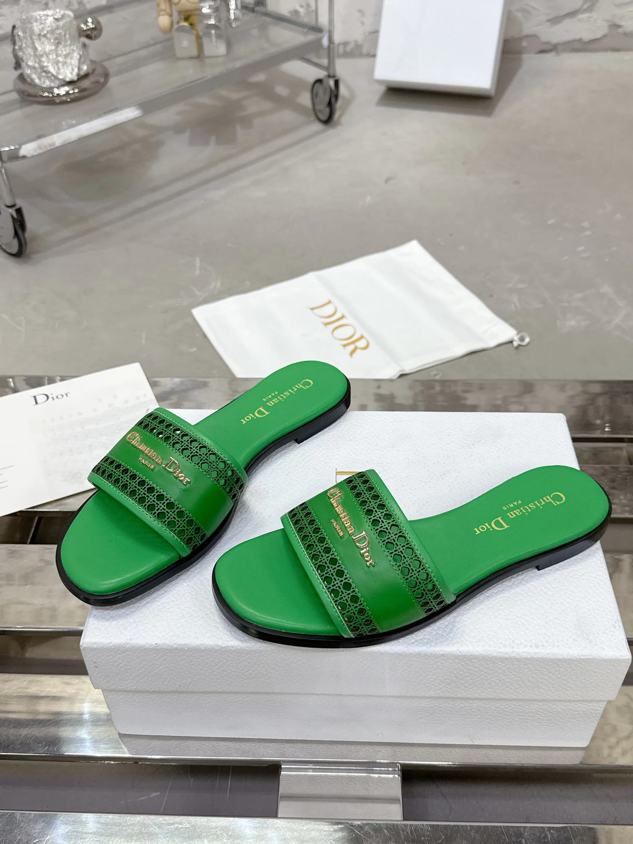 Шлепанцы Женские Christian Dior 14013
