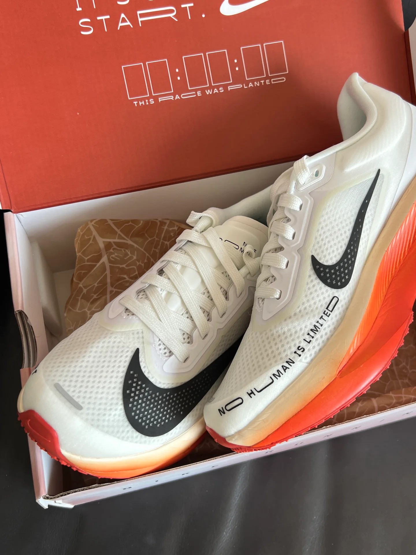 Кроссовки Мужские Nike 13320