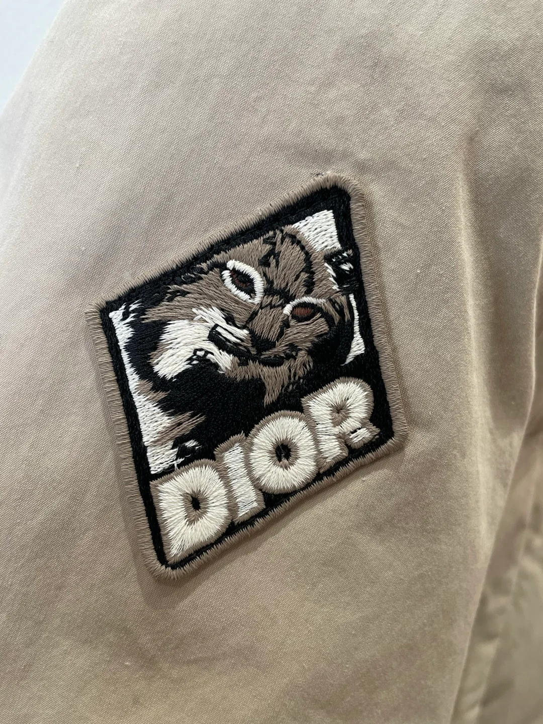Куртки И Пуховики Мужские Christian Dior 5877498