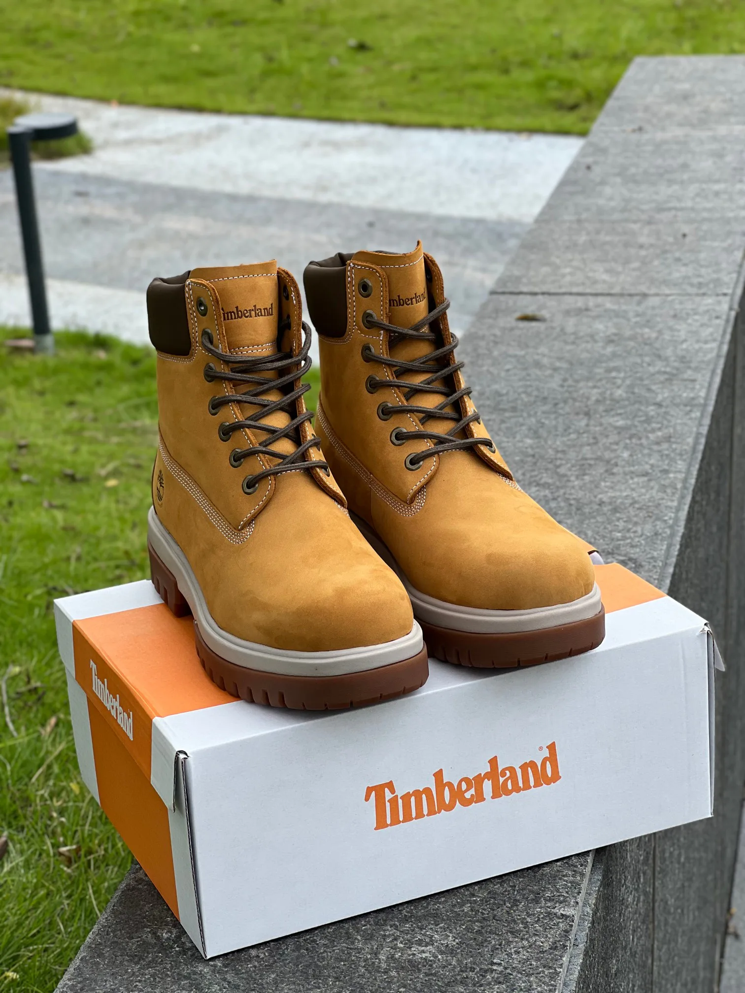 Ботинки Мужские Timberland 173400
