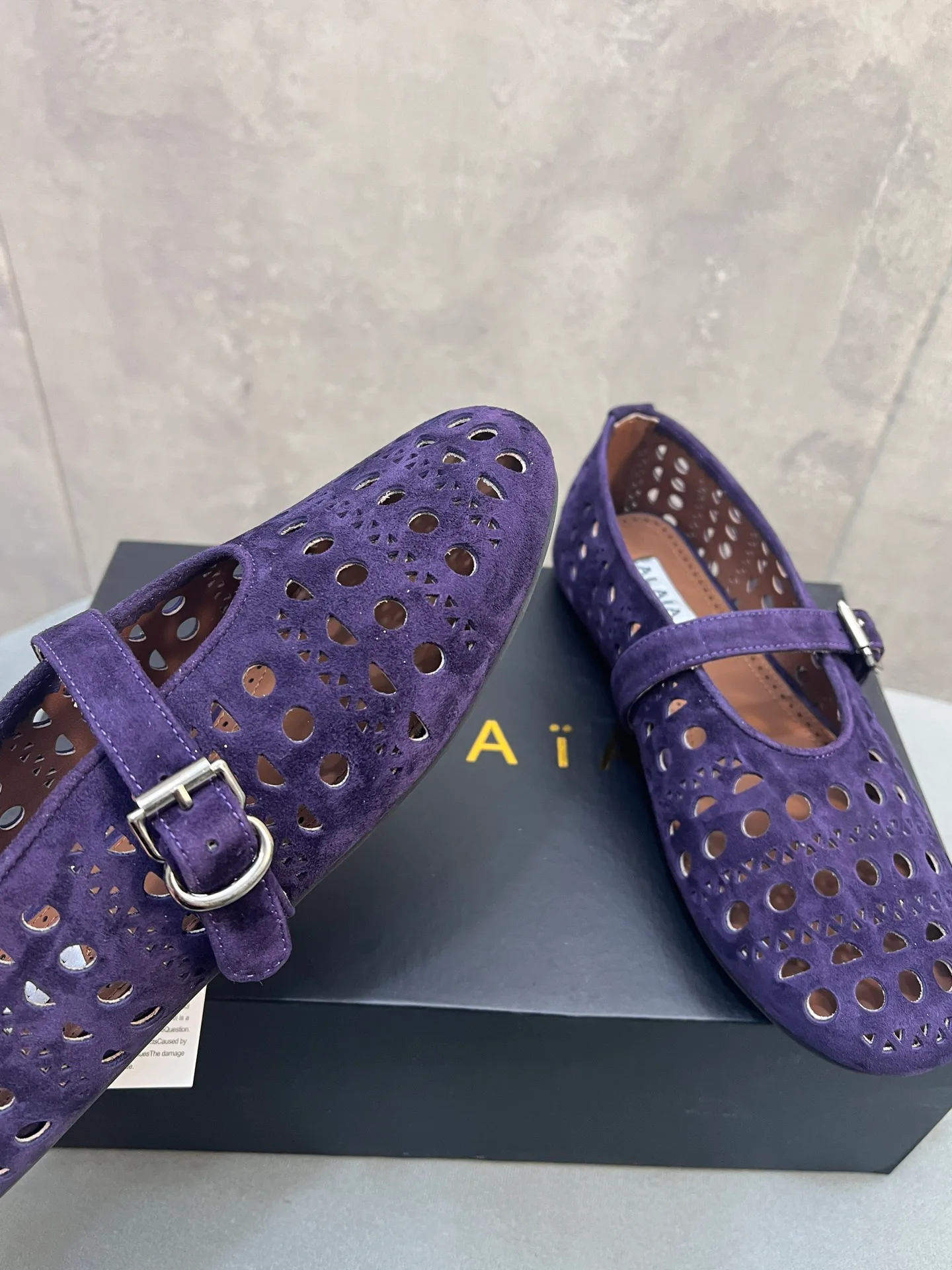 Балетки Женские Alaia 2201014