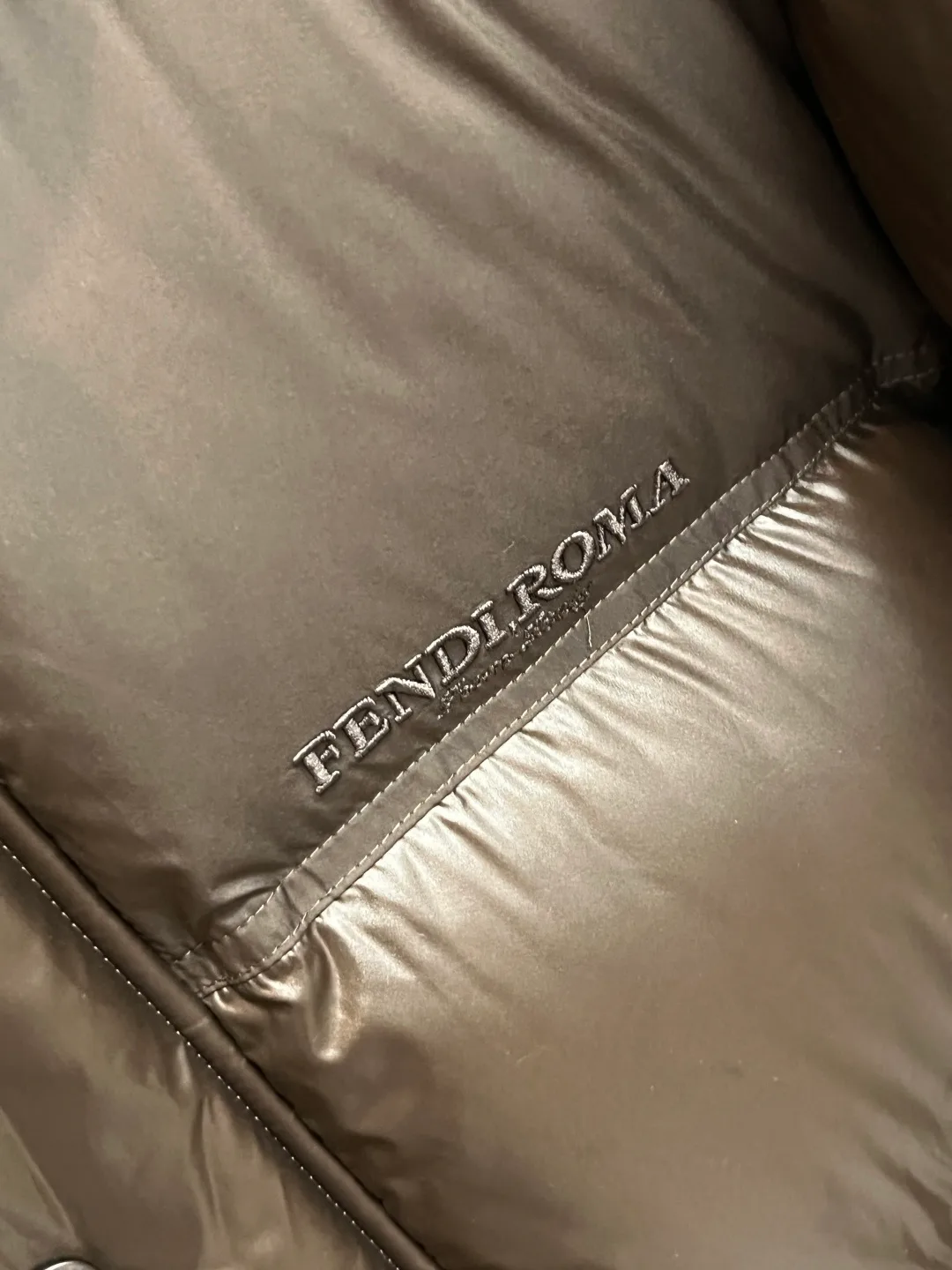 Куртки И Пуховики Мужские Fendi 747156