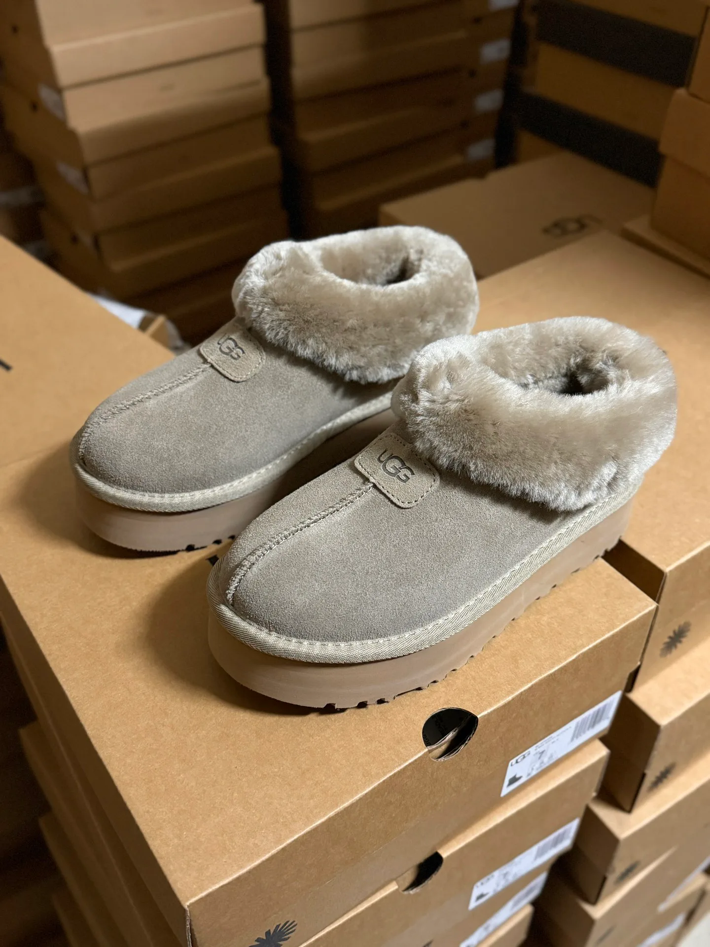 Угги Женские Ugg 3881