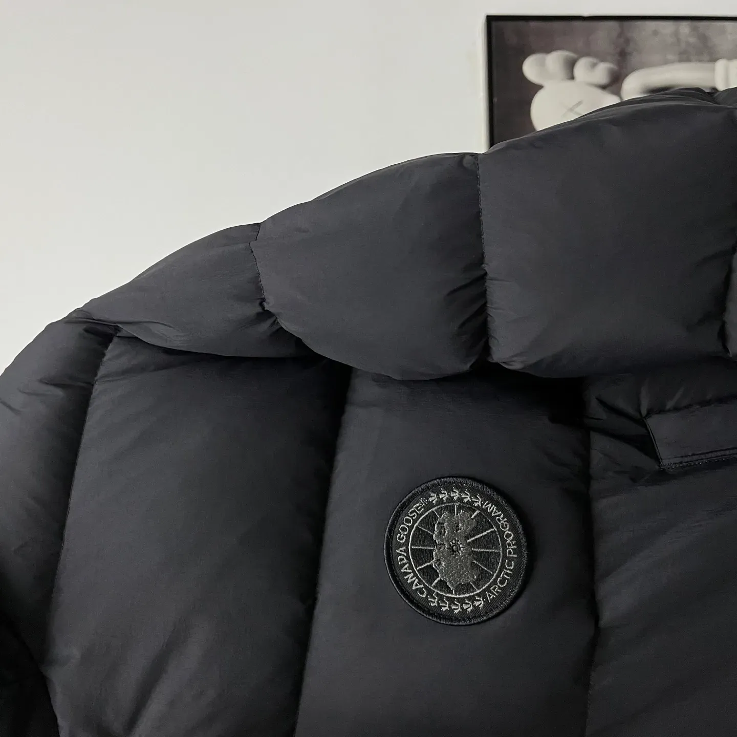 Куртки И Пуховики Женские Canada Goose 342269