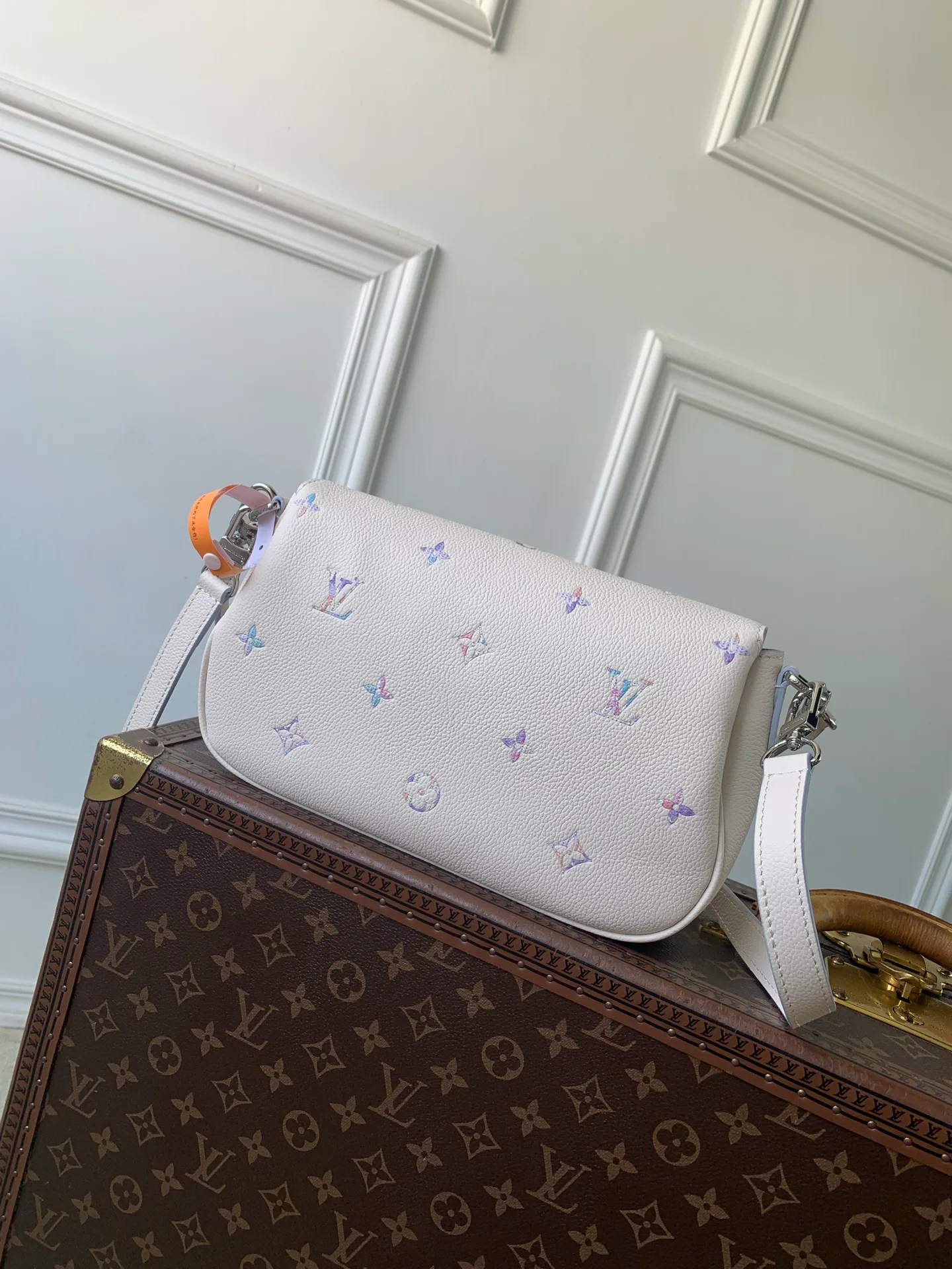 Классические Сумки Женские Louis Vuitton 18147480