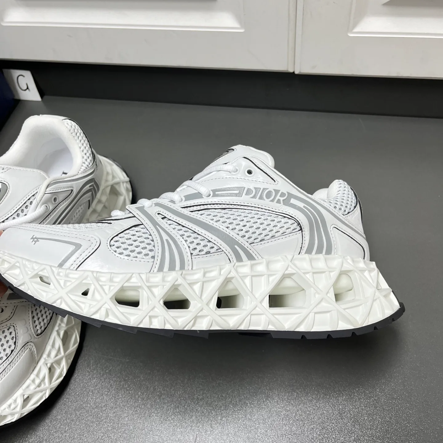 Кроссовки Мужские Christian Dior 11456602