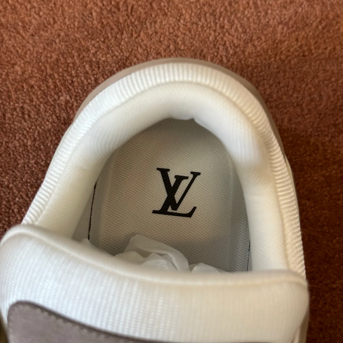 Кроссовки Мужские Louis Vuitton 18039909