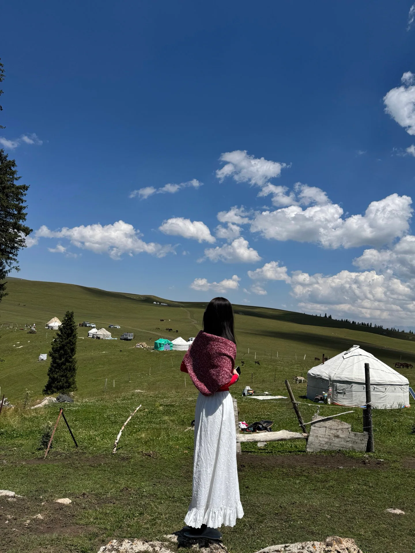 Шарфы The Row 234415