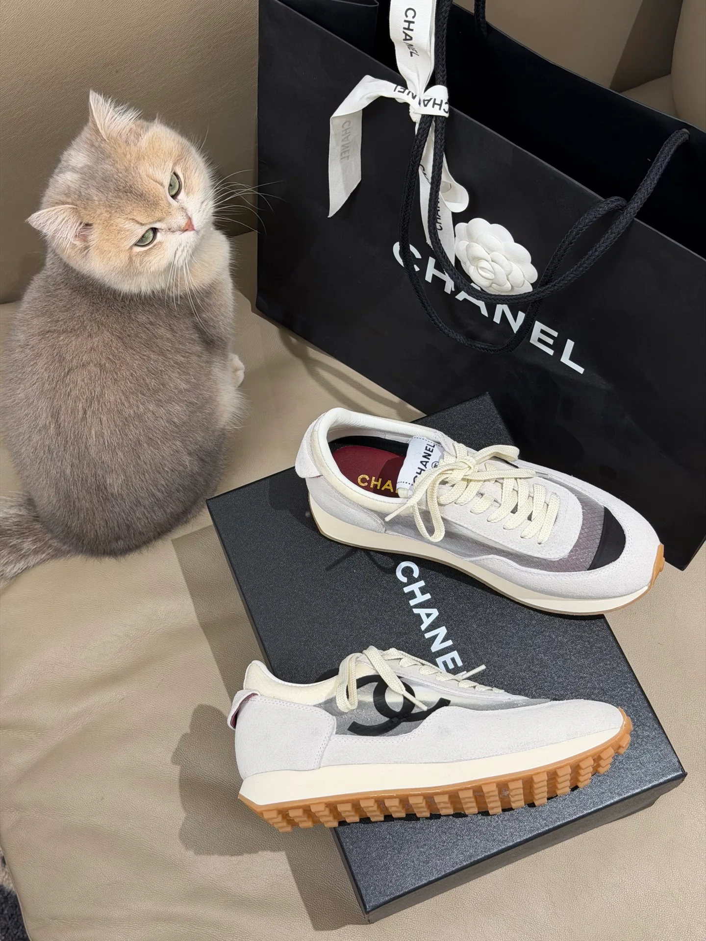 Кроссовки Женские Chanel 11388911