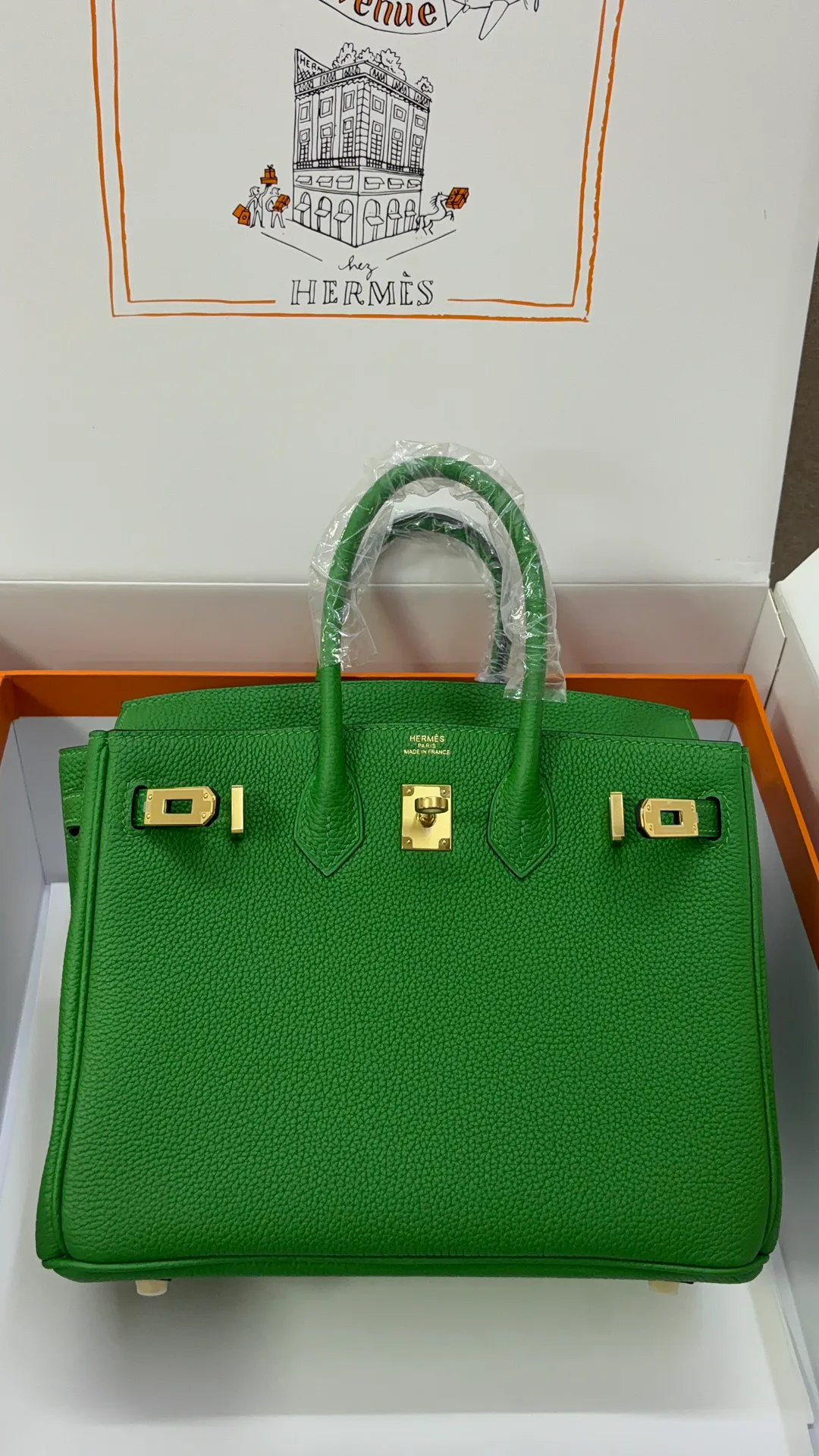 Классические Сумки Женские Hermes 13068563